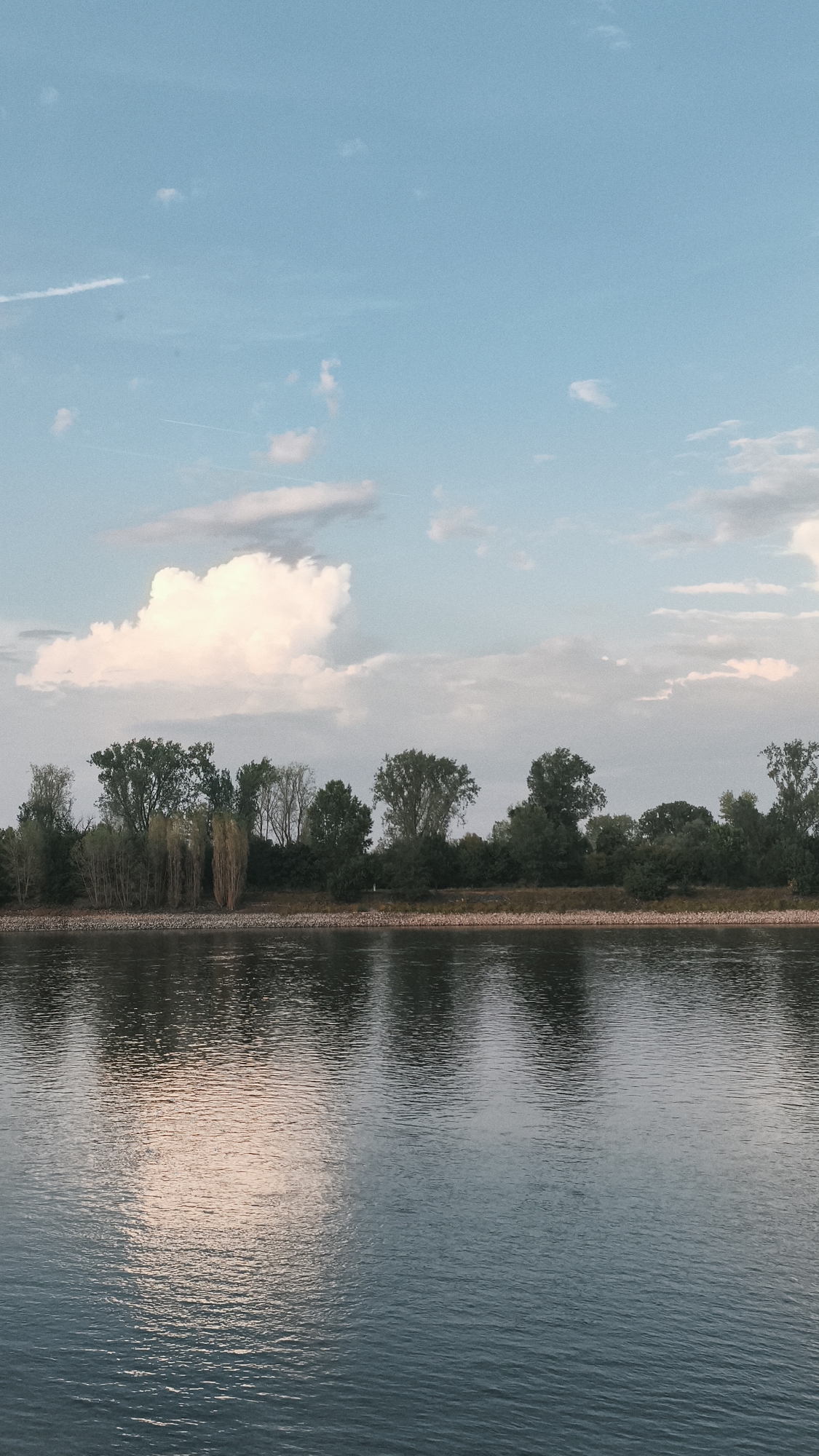 The image shows a tranquil scene of a river flowing past a tree-lined bank, with a bright blue sky dotted with clouds. The river's surface reflects the trees and the sky, creating a sense of calm and serenity. The trees on the bank are lush and green, indicating a warm season. In the distance, there are hints of a city skyline, suggesting that this natural landscape is located near an urban area. The overall impression is one of natural beauty and peaceful coexistence with civilization. The image is likely taken in Worms, Germany, a city known for its historical significance and picturesque riverfront.