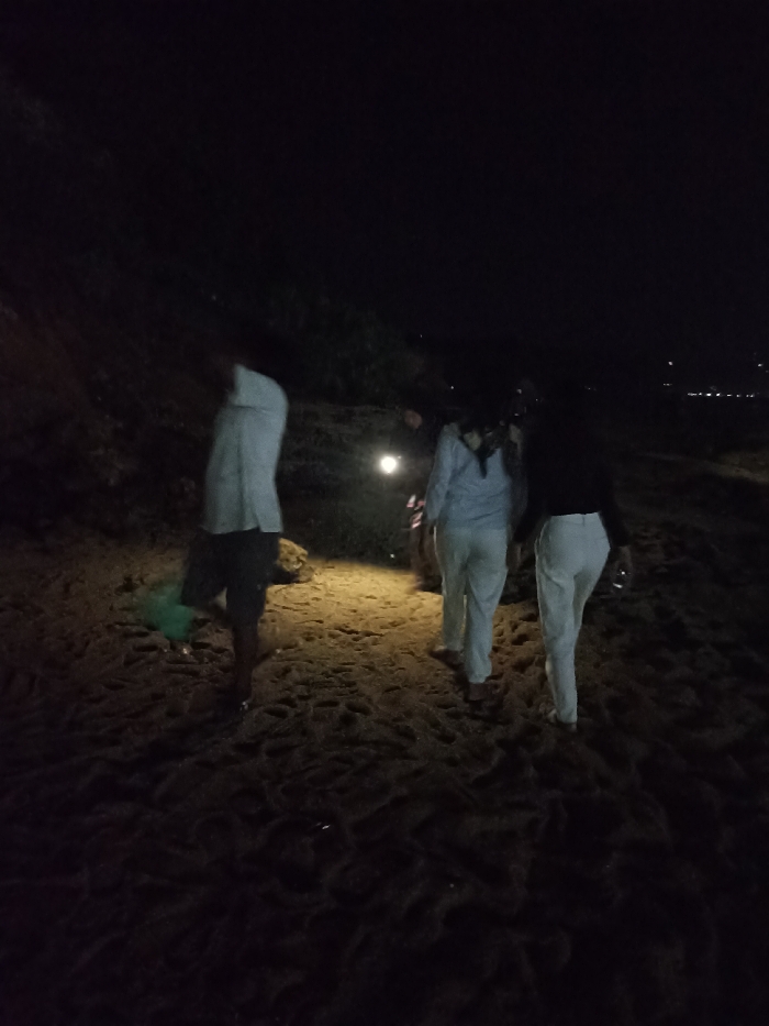 This nocturnal image captures a group of people walking along a sandy path in what appears to be Kecamatan Pujut, Indonesia. At least three individuals are visible, mostly with their backs to the viewer, indicating movement away from the camera. On the far left, a person in a light-colored shirt and dark shorts is carrying a green item, possibly a bag or bottle. Two other individuals, dressed in light-colored tops and white pants, are seen in the center and right.
A distinct light source, likely a flashlight or headlamp, illuminates the immediate sandy ground in front of the central figures, casting a bright, warm glow and revealing intricate patterns and footprints in the sand. To the left, a dark, vegetated embankment or hillside rises into the darkness. The sky is completely black, confirming it is nighttime. In the distance, on the right horizon, faint pinpricks of light are visible, suggesting a distant town, village, or a coastal area. The scene depicts a quiet journey or exploration outdoors in the dark, relying on artificial light to navigate the sandy terrain. There is no visible text in the image.