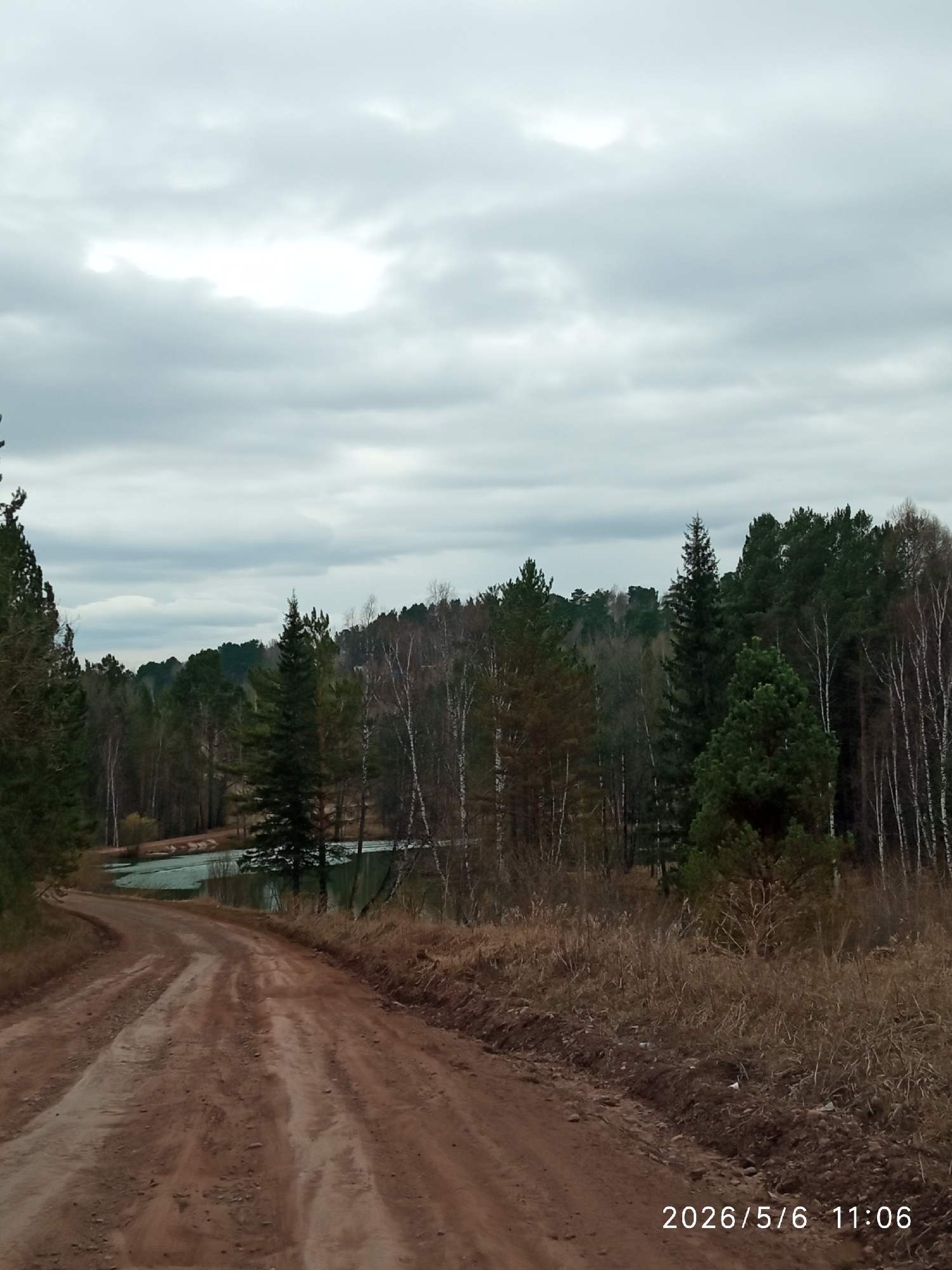 The image shows a dirt road leading into a forest under a cloudy sky. The road is reddish-brown, and there is dry vegetation on either side. A body of water, possibly a small lake or pond, is visible through the trees in the background. The forest consists of a mix of deciduous and evergreen trees. The date and time stamp "2026/5/6 11:06" is present in the lower right corner. The location is Sorokino, Russia. There is no information about people, subjects, objects, actions, or interactions, and they are not visible in the image.