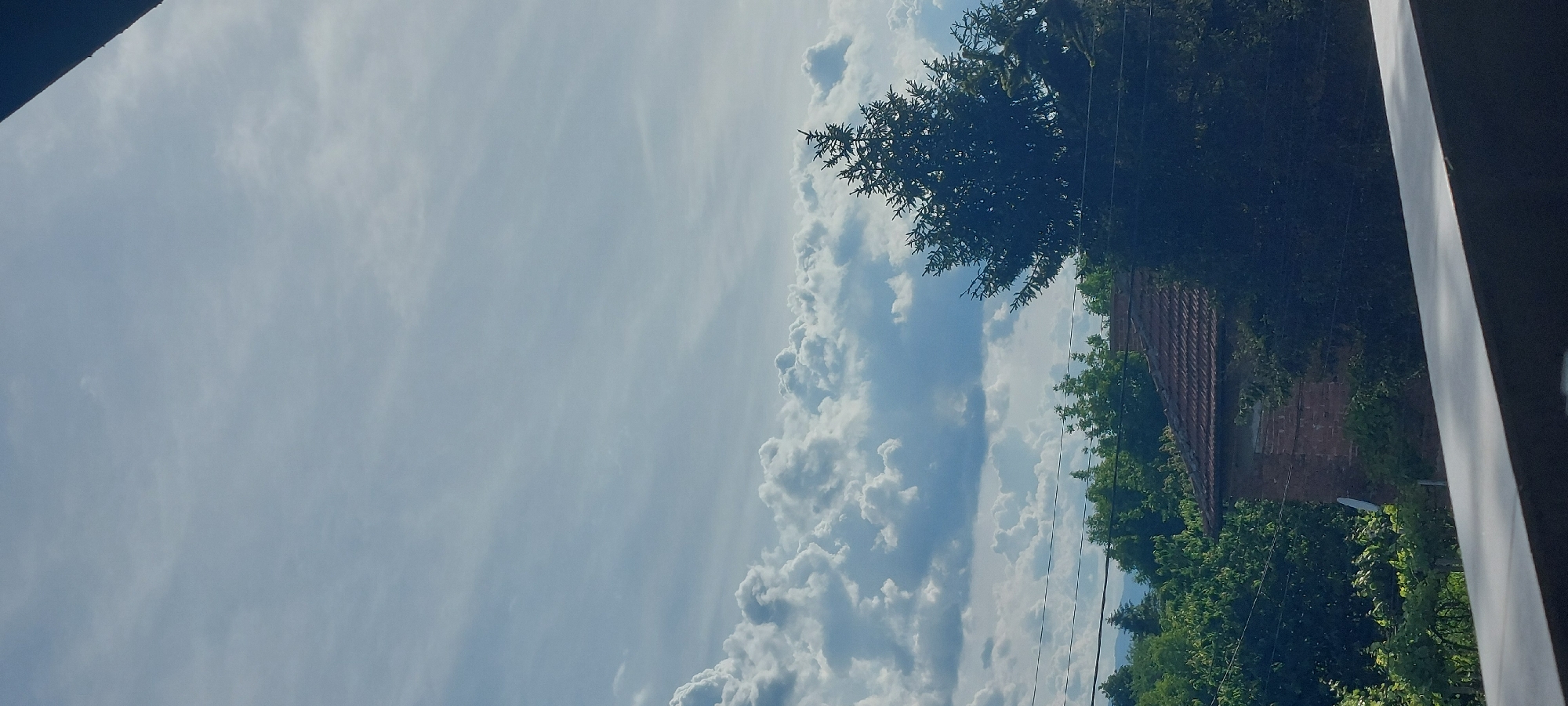 The image shows a view from what appears to be a window in Yagodovo, Bulgaria. The focus is on the sky, filled with a mix of wispy cirrus clouds and puffy cumulus formations. Part of a tree, specifically the top of a conifer, is visible on the right side of the frame, along with a glimpse of a red-tiled roof and green foliage. Power lines run through the scene. The window frame is partially visible on the left and right edges.