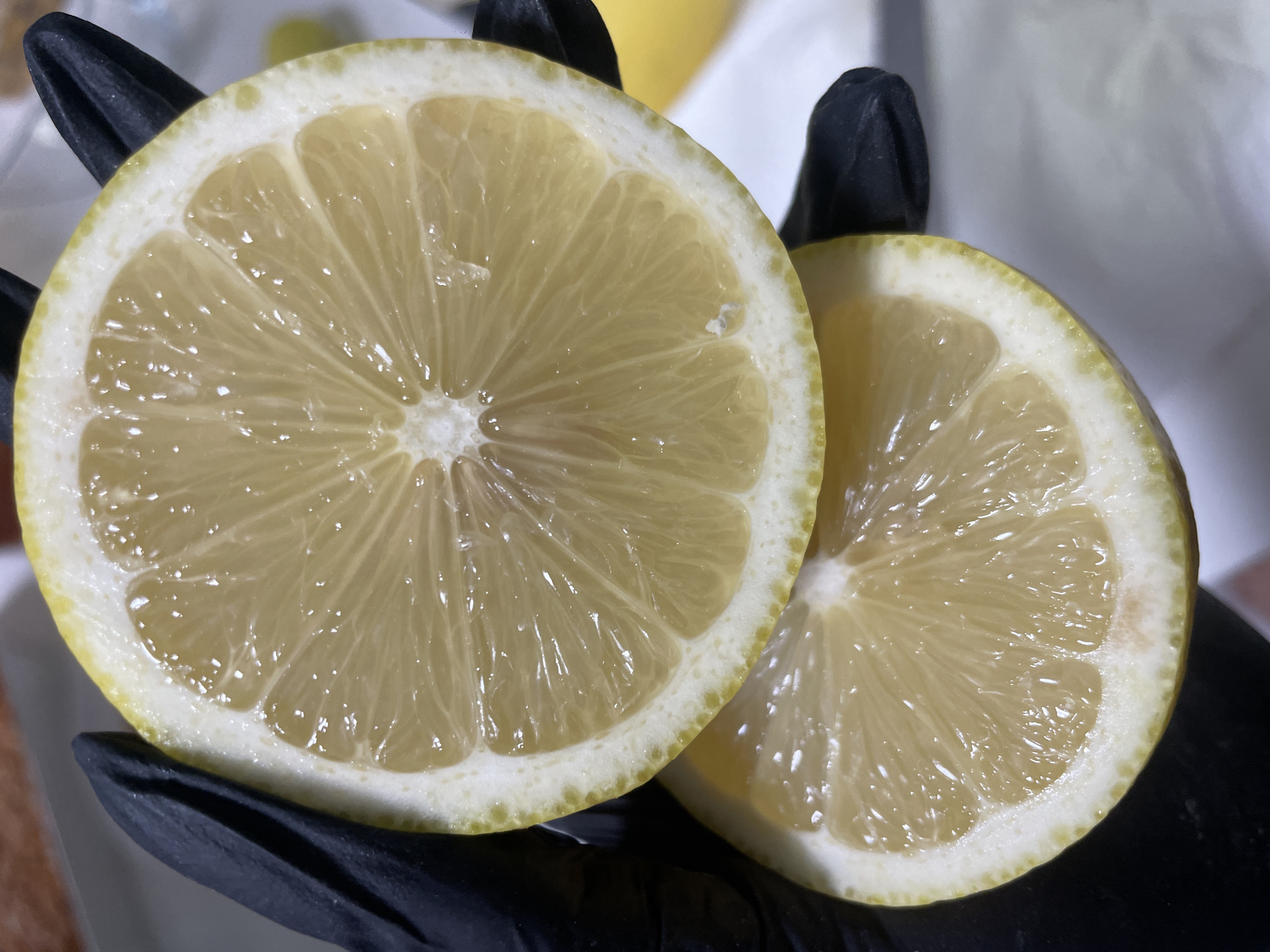 The image shows two slices of a lemon, held by a person wearing a black glove. The lemons are bright yellow with visible segments and glistening juice. One slice is positioned above the other, slightly offset. The background is out of focus, but appears to be a light-colored surface. The image is a close-up shot, highlighting the texture and juiciness of the fruit. The location in Raanana, Israel, is not visually discernible from the image.