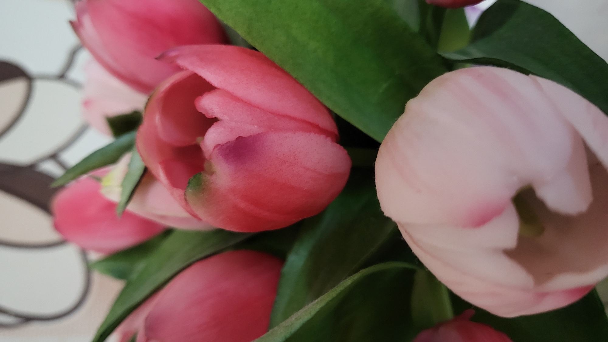 A close-up, slightly overhead shot captures a vibrant bouquet of fresh tulips, likely situated indoors in Chaikovsky, Russia. The image prominently features several tulip blossoms in varying shades of pink. Some flowers display a rich, deep fuchsia-pink hue, with hints of darker purple on the edges of their petals, while others are a softer, paler pink, almost white, with delicate pink veins visible on their surfaces. Lush green leaves are interwoven among the blooms, providing a verdant contrast to the colorful petals. The natural textures of the petals are discernible, suggesting real flowers. The background, visible mainly on the left, is out of focus and consists of light-colored patterns with blurry brown, curvilinear shapes, potentially indicating a wallpaper or decorative fabric. There are no people, visible text, or discernible activities taking place, only the arrangement of the flowers. The lighting suggests an indoor setting, but the specific time of day or weather conditions are not apparent. The overall impression is one of natural beauty and freshness.
