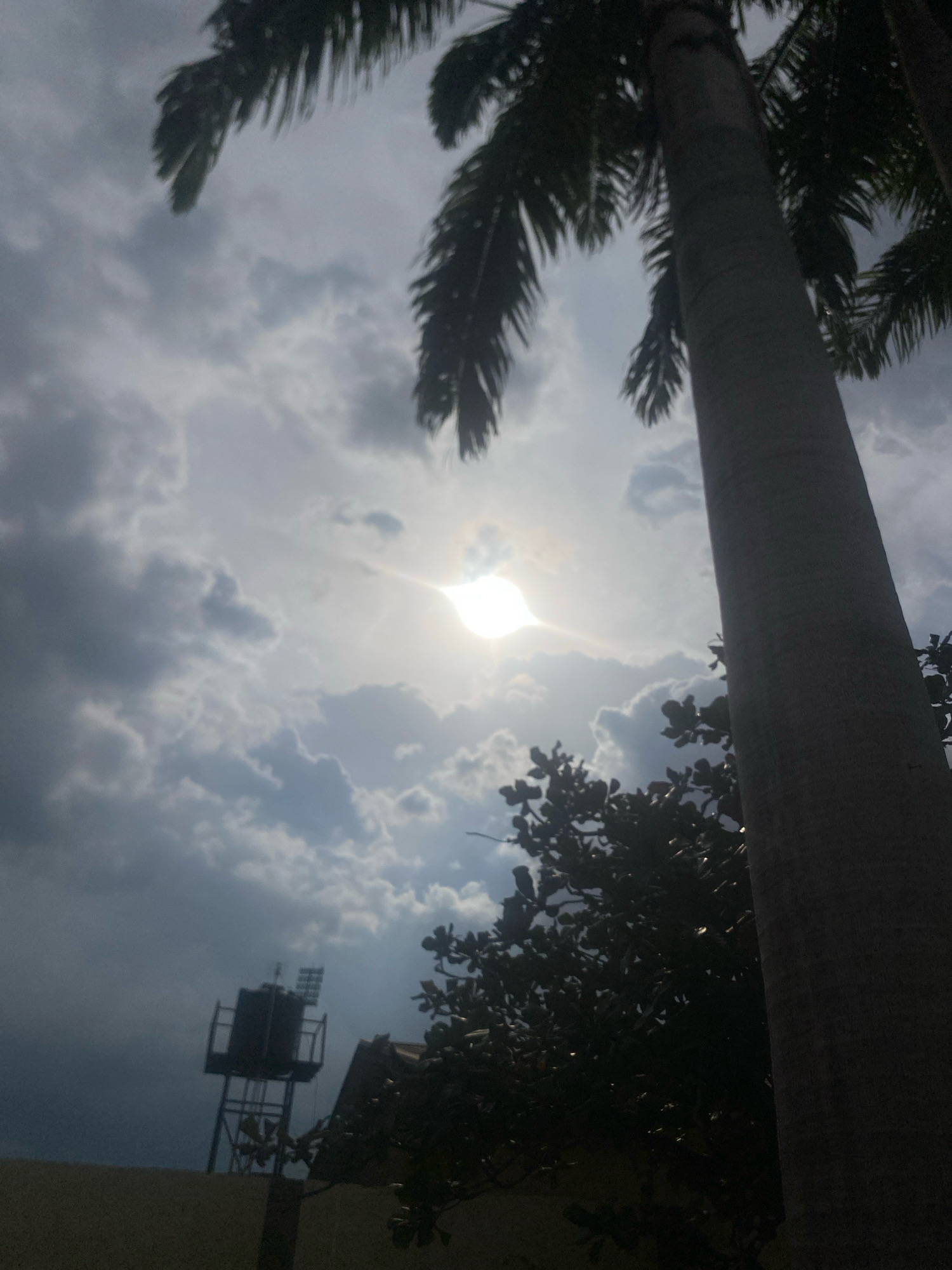 The image captures a view of the sky with dramatic clouds, partially obscured by the fronds of a tall palm tree on the right and the dense foliage of another tree in the lower right. The sun is visible as a bright, hazy orb in the upper central portion of the sky, creating a luminous effect. In the lower left quadrant, a water tower with a tank is silhouetted against the sky, supported by a metal structure. A portion of a building's roof is visible to the right of the water tower, and a light-colored wall or structure occupies the bottom left corner of the frame. The scene appears to be an outdoor environment, possibly in a residential or semi-urban area, with the presence of both natural elements like trees and man-made structures. The lighting suggests it is daytime, with the sun's rays filtering through the clouds. The location is identified as Dadi Riba, Nigeria.
