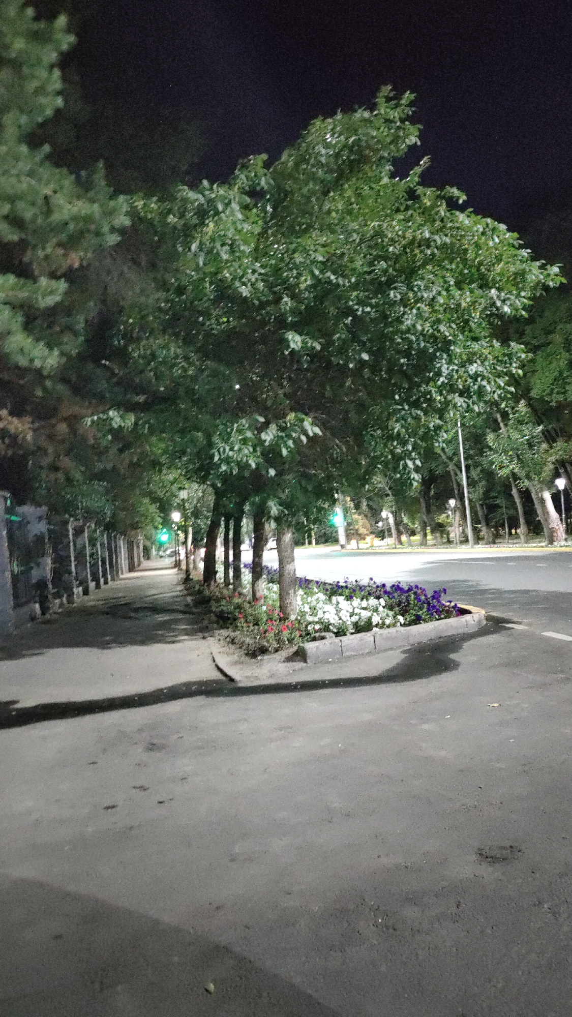 A nighttime outdoor shot shows a sidewalk and a road in an urban setting. The sidewalk is lined with trees and a low wall, and further lined with a flower bed containing white, purple, and red flowers. Streetlights cast a dim glow, illuminating the area. The road appears to be asphalt and shows signs of wear, with some patches of dark, wet-looking stains and small potholes. The background is dark, indicating it is nighttime, and some faint lights can be seen in the distance. No people are visible in the image.