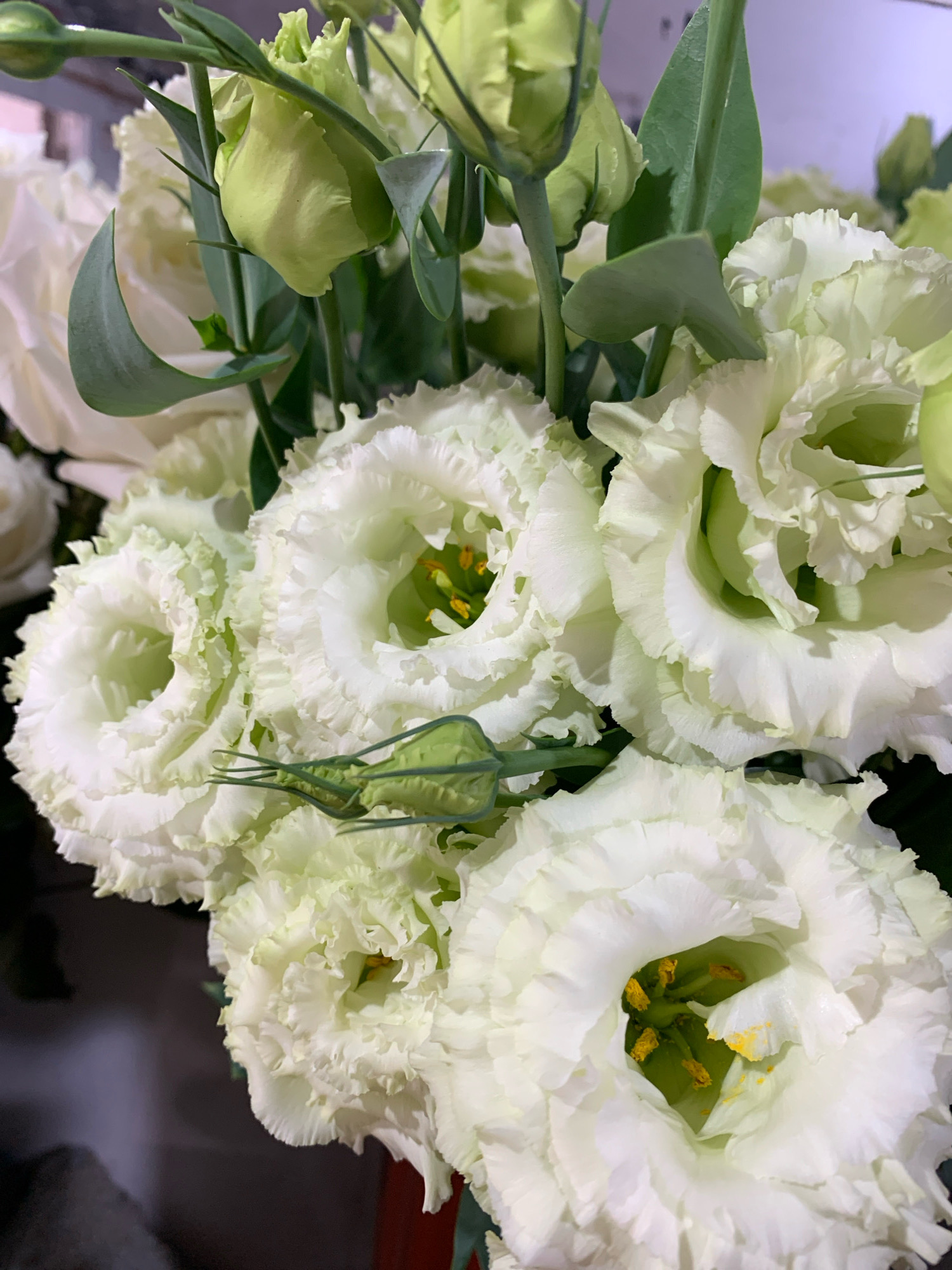 A close-up, high-angle shot captures a bouquet of white lisianthus flowers with pale green buds and stems. The flowers are in various stages of bloom, with some fully open and others still tightly furled. The petals are delicate and ruffled, with a light green hue towards the center of the open blooms. The stems are a vibrant green, and some unopened buds are visible, also in a pale green color. The background is dark and out of focus, providing a strong contrast that emphasizes the flowers. The lighting is soft, highlighting the textures of the petals and creating subtle shadows. There is no indication of the location within the city of Sumy, Ukraine.