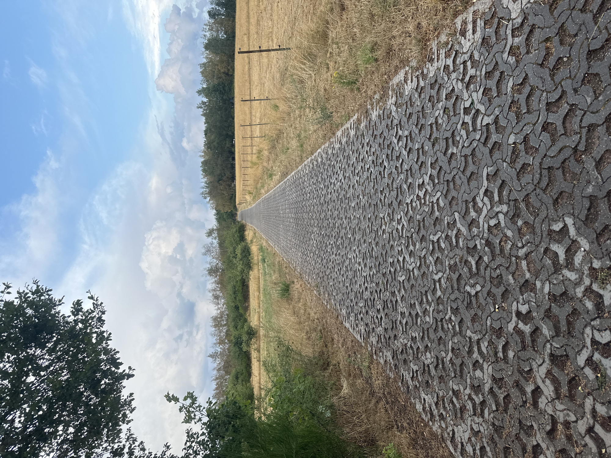 This is a landscape photograph taken in Wadern, Germany. The image features a paved pathway made of interlocking grey concrete blocks, leading into the distance. The path is flanked by dry, golden grass and scattered bushes. In the background, a dense line of trees forms a dark green horizon against a partly cloudy sky with shades of blue, grey, and white. A simple wire fence with posts runs along the right side of the field, parallel to the path. The lighting suggests it is daytime, possibly late afternoon. There are no people or animals visible in the frame.