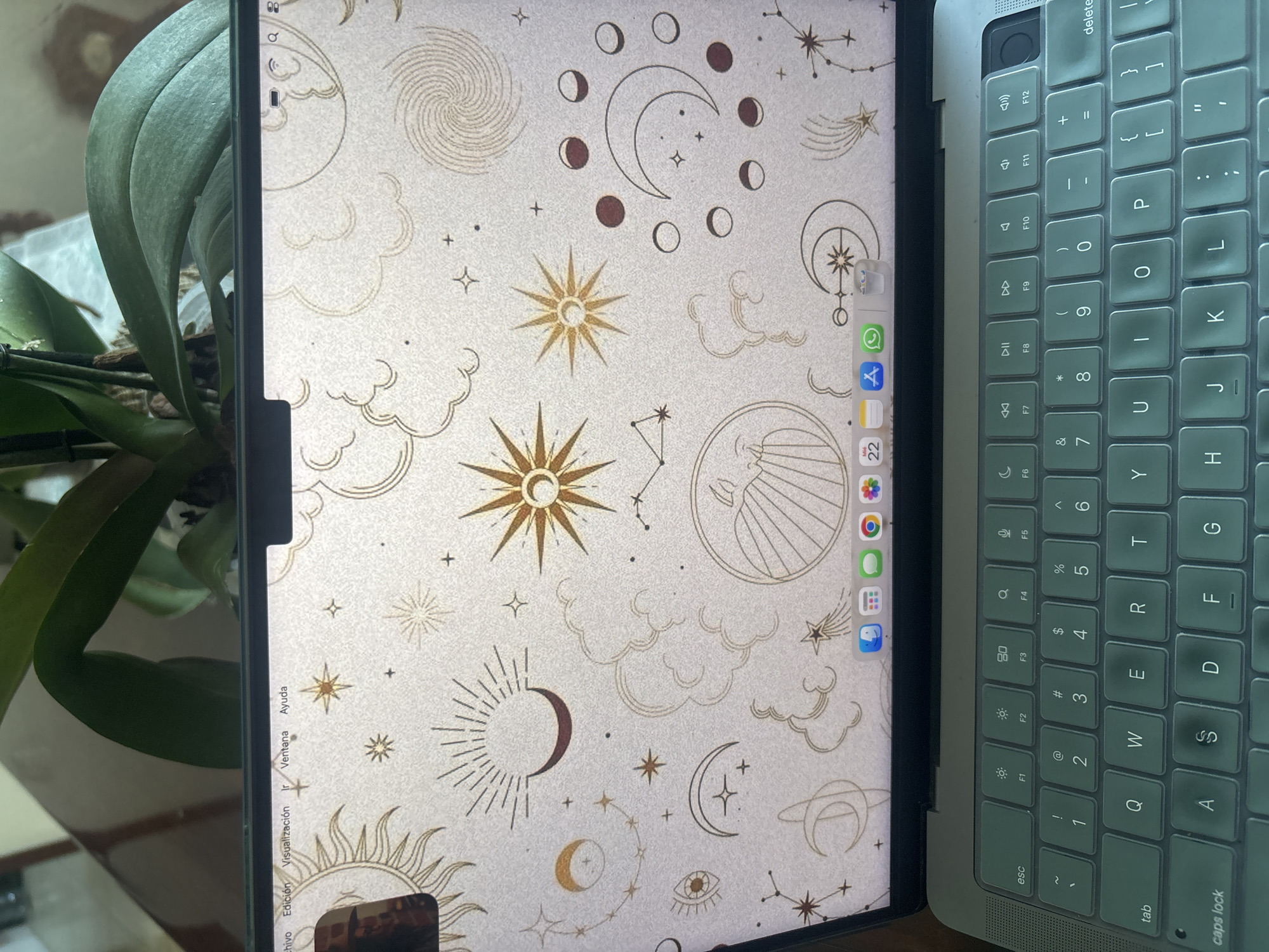 The media file captures an overhead indoor shot of a modern workspace featuring an iPad/tablet and a partial view of a laptop keyboard. To the left, a green-leafed plant, likely an orchid, is partially visible.
The iPad's screen dominates the left side of the frame, displaying a whimsical celestial-themed wallpaper. The wallpaper features various suns, moons in different phases, stars, constellations, stylized clouds, and swirling patterns, rendered in golden and brown outlines and fills against a light, speckled background. The iPad's user interface is visible, including a dock of app icons on the right side of the screen, which shows WhatsApp, App Store, a Calendar icon displaying "22," Safari, and Photos among others. The top-left corner of the iPad's display shows menu bar items in Spanish: "Archivo," "Edición," "Visualización," "Ventana," and "Ayuda." A battery indicator is also present.
On the right side of the image, the right half of a silver-colored laptop's keyboard is visible. The keys are a dark green or teal color. Visible keys include "delete," numerical keys (0-9) with associated special characters like "@", "#", "$", "%", and letter keys such as "P," "O," "I," "U," "Y," "T," "R," "E," "W," "Q," "L," "K," "J," "H," "G," "F," "D," "S," "A," as well as "tab," "esc," and "caps lock." Function keys F1 through F12 are also present, showing icons for brightness and media control. The Spanish text on the iPad's menu bar aligns with the provided location context of Puebla, Mexico. No specific activity is depicted, but the setup suggests the devices are in active use.