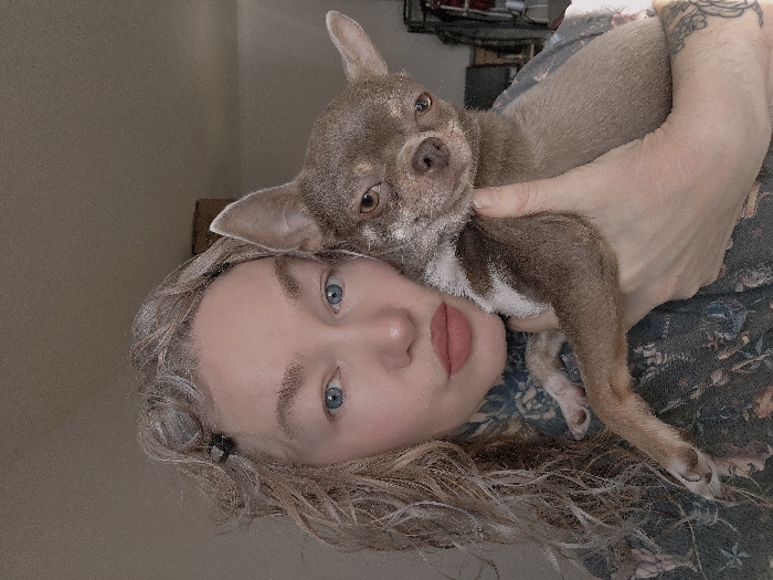 A Caucasian female adult is depicted in a close-up, selfie-style photograph, holding a small, short-haired brownish-gray Chihuahua dog. The female has wavy, light-colored hair with two dark clips on the left side, blue eyes, and light pink lipstick. Dark, intricate tattoos are visible on her left arm, shoulder, and neck. She wears a dark, patterned long-sleeved garment. Her left hand supports the dog's body, which has white markings on its chest and extends its front legs forward. The dog has erect ears and dark brown eyes, looking slightly to its left. The background is a blurred indoor setting, consisting of a plain, light-colored wall in the upper section and indistinct furniture or shelving with objects on the right. The scene takes place in Saint Petersburg, Russia.