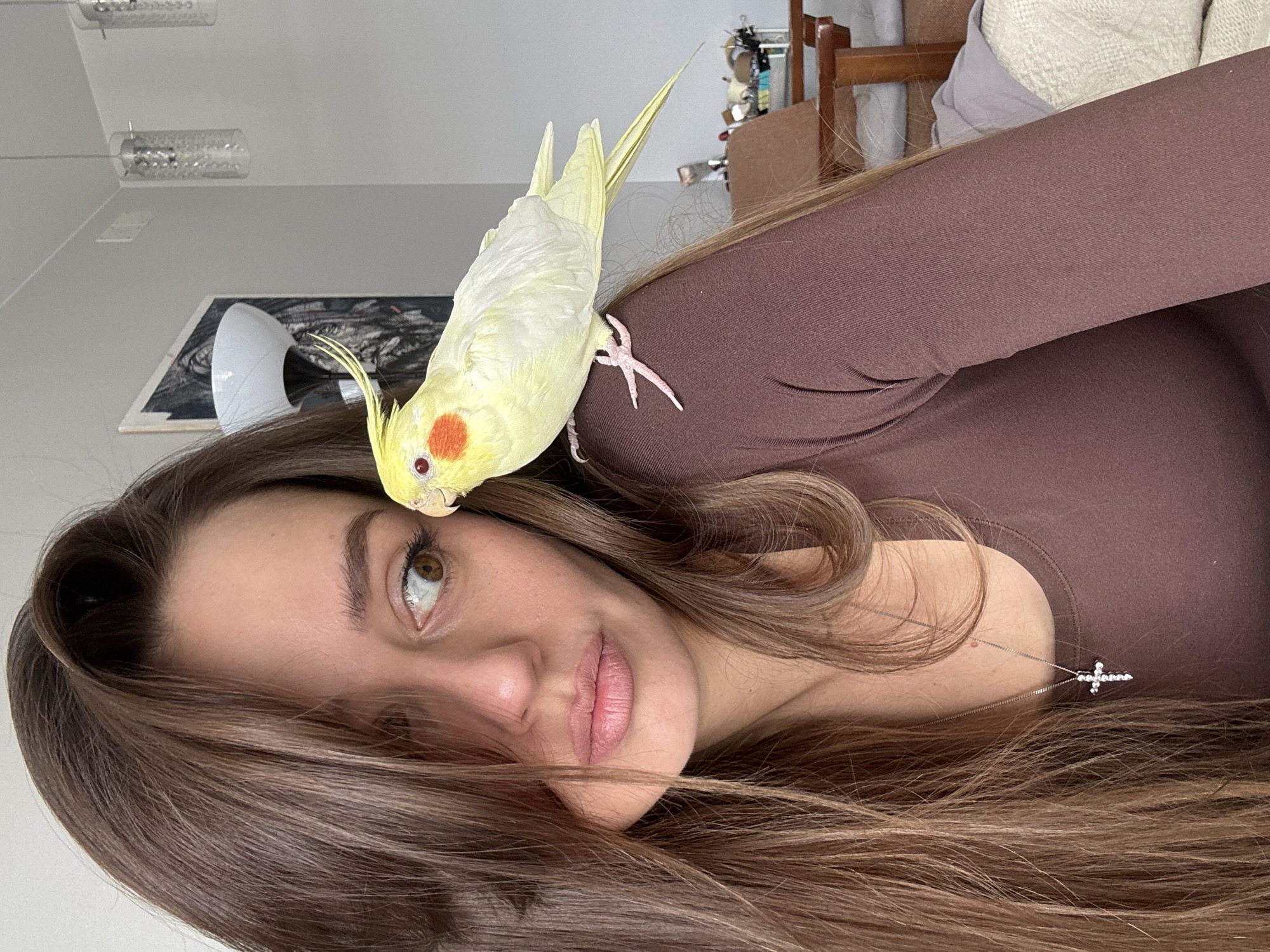 A woman is featured in a close-up, indoor shot. She has light brown hair and brown eyes. A cockatiel with yellow and white feathers and orange cheek patches is perched on her head. The woman is wearing a brown, long-sleeved shirt and a necklace with a cross pendant. In the background, there's a glimpse of interior decor, including furniture and a picture. The image does not provide enough information to pinpoint a specific location in Krasnoyarsk, Russia.