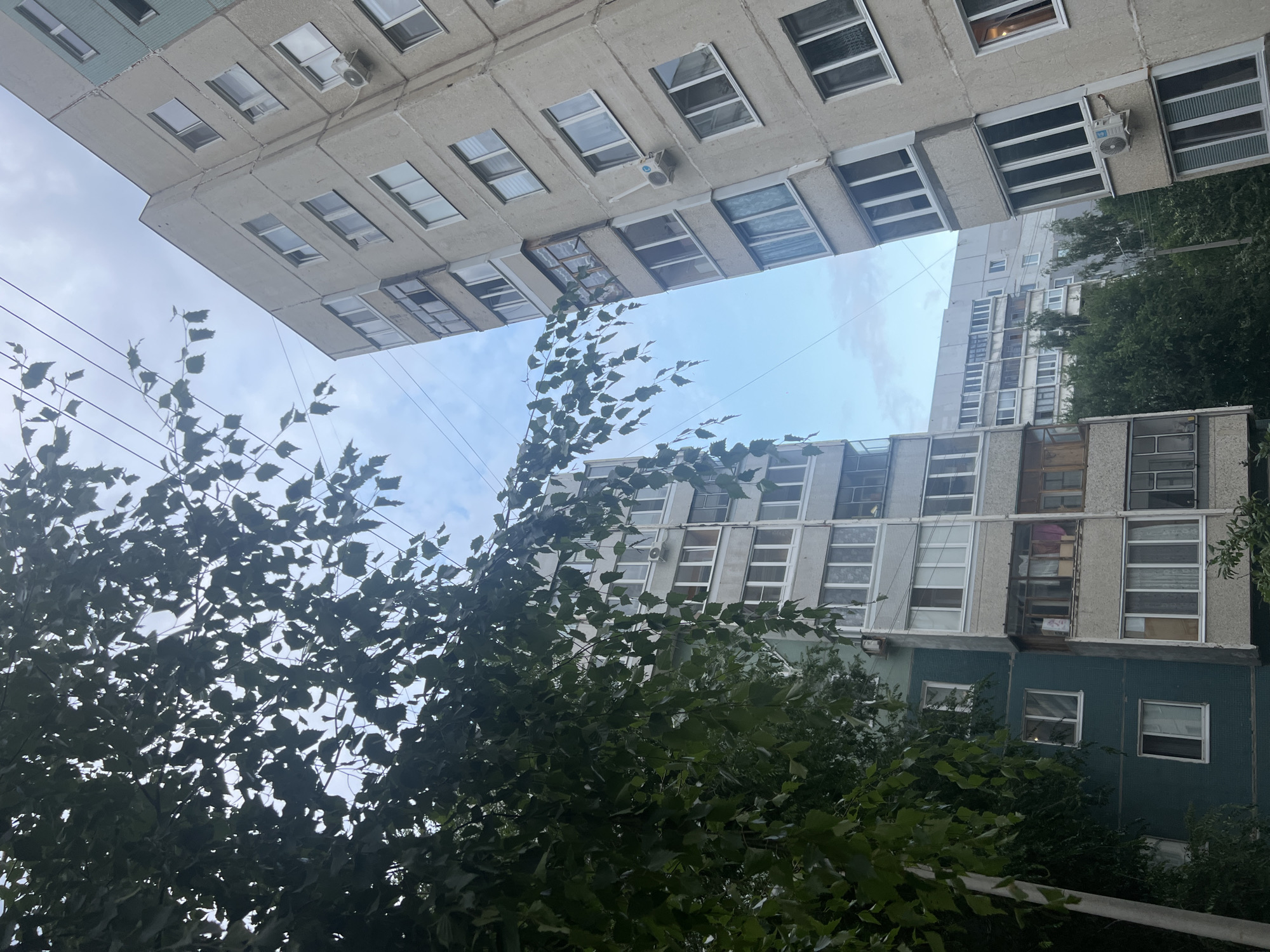 The image depicts a view from a low angle looking up at residential apartment buildings on a cloudy day. In the foreground, lush green foliage from a tree hangs down, partially obscuring the view of the buildings. The buildings appear to be of Soviet-era construction, with concrete facades and numerous windows. Some of the windows are covered with curtains, while others are open. Air conditioning units are visible on some of the building exteriors. In the background, more apartment buildings and trees can be seen, suggesting an urban residential area. The sky is overcast with a pale blue hue, indicating a potentially overcast or slightly hazy day. The overall scene is one of a typical urban residential environment in Russia, possibly in a city like Ulyanovsk. No people are visible in the image.