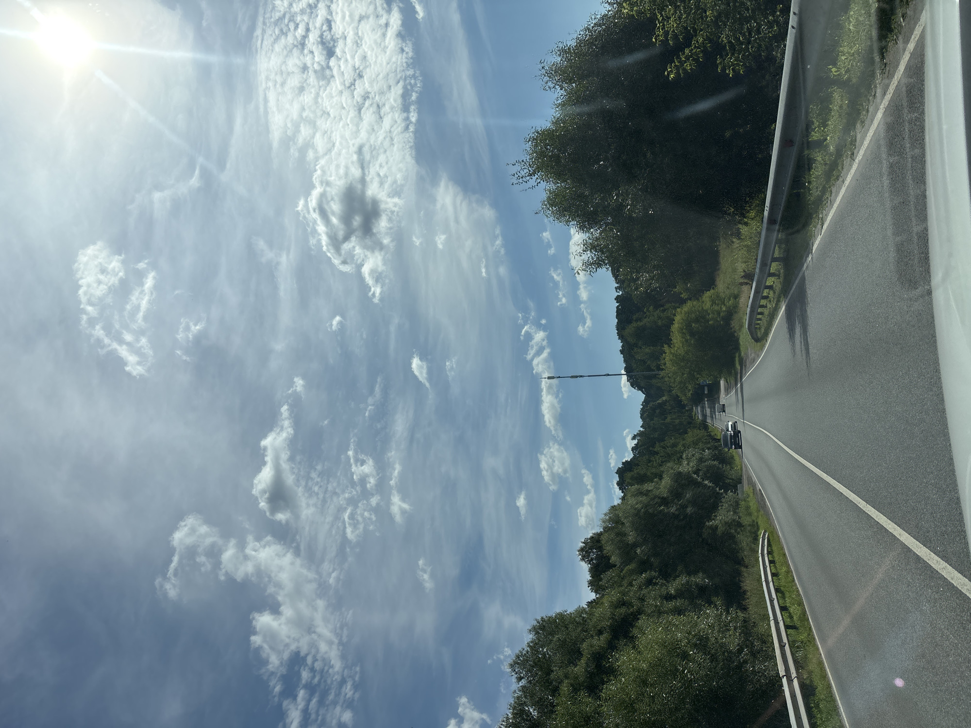 The image depicts a two-lane asphalt road winding through a heavily wooded area, consistent with the landscape of Palitsy, Russia. The road has a white line marking the center and a white line on the right edge. Guardrails line both sides of the road. Several vehicles are visible on the road in the distance. The sky is blue with scattered white clouds, and the sun is visible and bright, causing lens flare. The trees on either side of the road are dense and green. A tall, slender tower is visible in the distance between the trees.