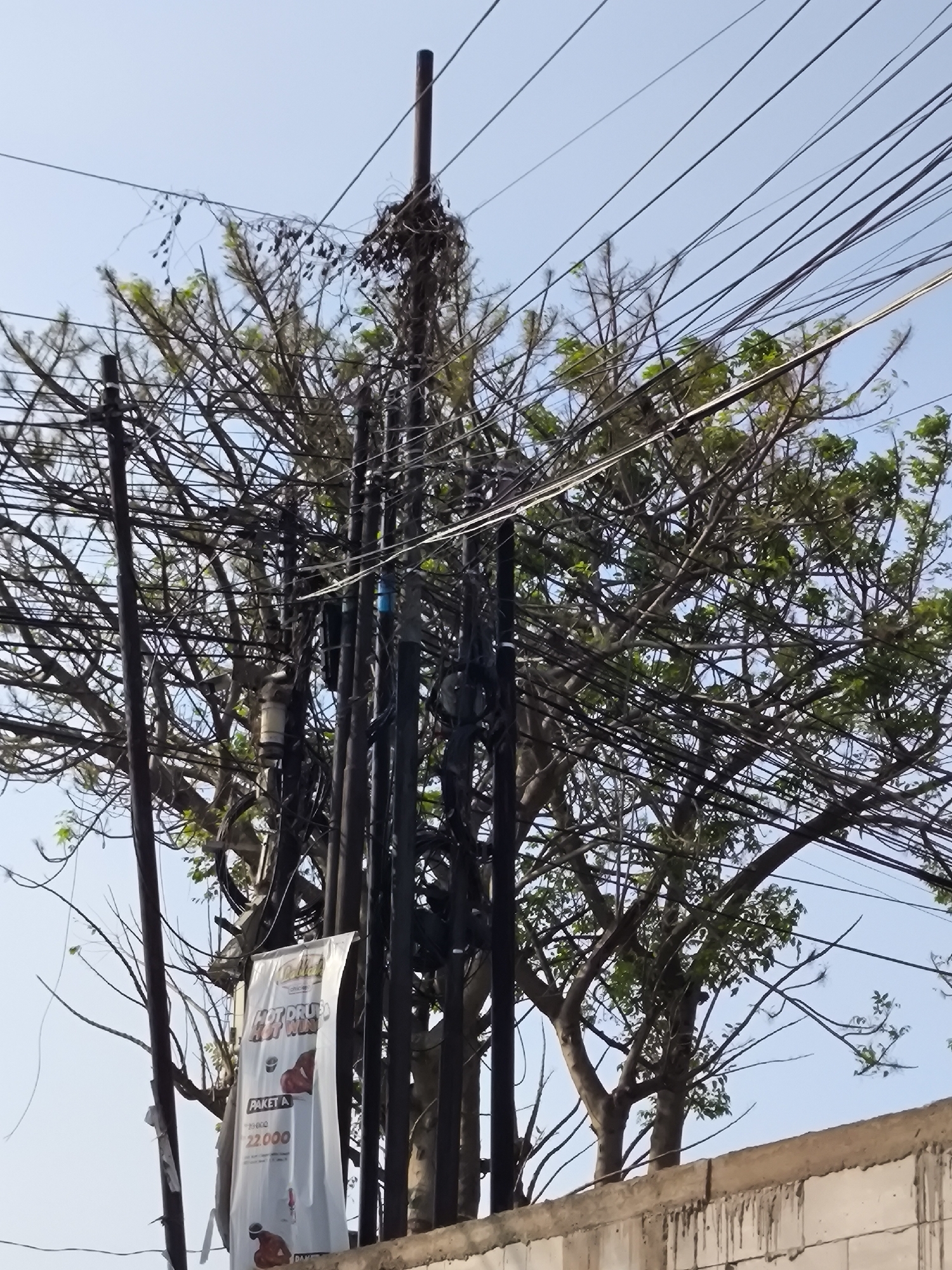 The image shows a dense cluster of electrical wires and utility poles, characteristic of an urban environment in Cilegon, Indonesia. A large tree with branches intertwined with the wires dominates the center of the frame, suggesting that it has grown significantly around the infrastructure. In the lower left, a vertical white banner is visible, displaying text and images of food, likely an advertisement for a local eatery. The sky is clear and blue, indicating daytime. The foreground features the top of a textured concrete wall, common in Indonesian residential or commercial areas. The overall scene depicts a common sight in many Southeast Asian cities where utility infrastructure and natural growth often coexist in a complex and sometimes chaotic manner.
