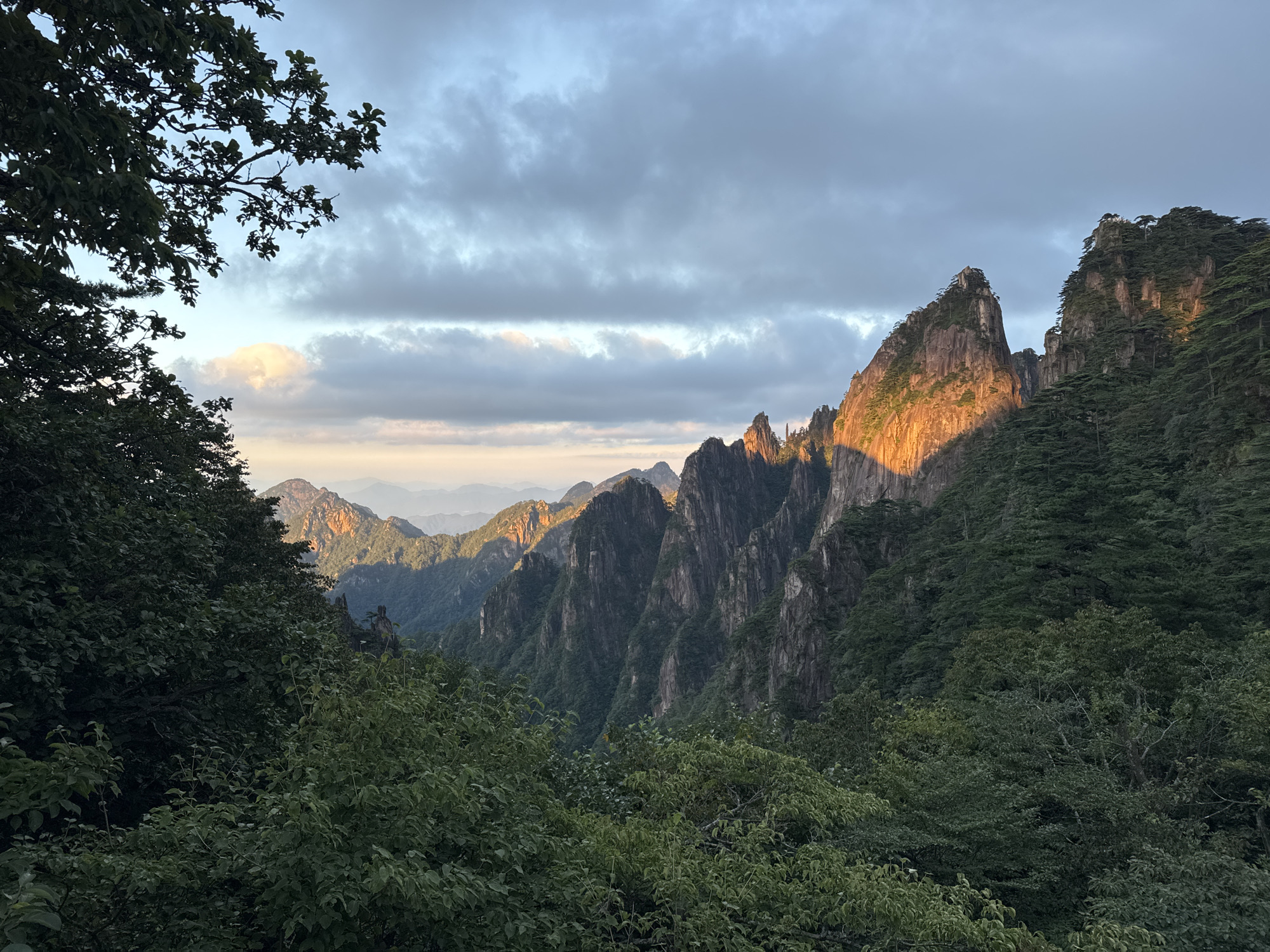 The image depicts a scenic mountain landscape in Huangshan District, China, likely during sunrise or sunset. In the foreground, lush green foliage, including trees and bushes, frames the view. Beyond the foliage, a series of dramatic, jagged peaks rise from the valley. The mountains are steep and rocky, with a dense covering of dark green pine trees clinging to their slopes. The lighting suggests either early morning or late evening, with warm, golden light illuminating the upper portions of the peaks, casting long shadows across the rugged terrain. The sky above is a mix of grey and white clouds, with streaks of soft color indicating the presence of the sun. In the far distance, several layers of mountains recede into a hazy, soft blue, creating a sense of depth and vastness. There are no people or man-made structures visible in the scene.