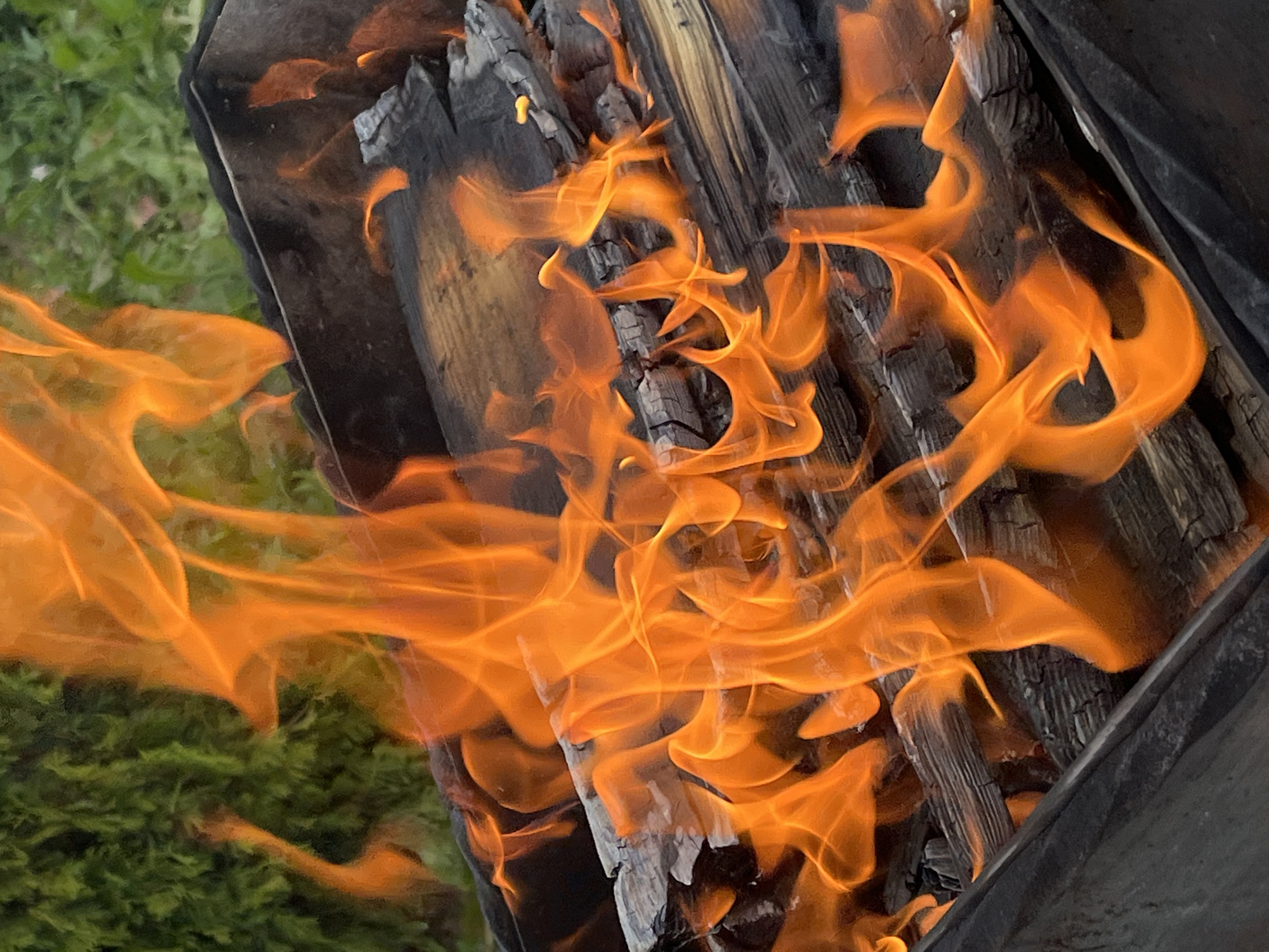 The image shows a close-up view of a fire burning in a metal barbecue grill. The flames are bright orange and yellow, licking at pieces of charred wood. The grill itself is dark and appears to be made of metal. In the background, out of focus, is greenery, likely foliage. The scene is set outdoors, possibly in a backyard or park, and given the context provided, it is located in Il'ino, Russia. There are no people or animals visible in the frame.