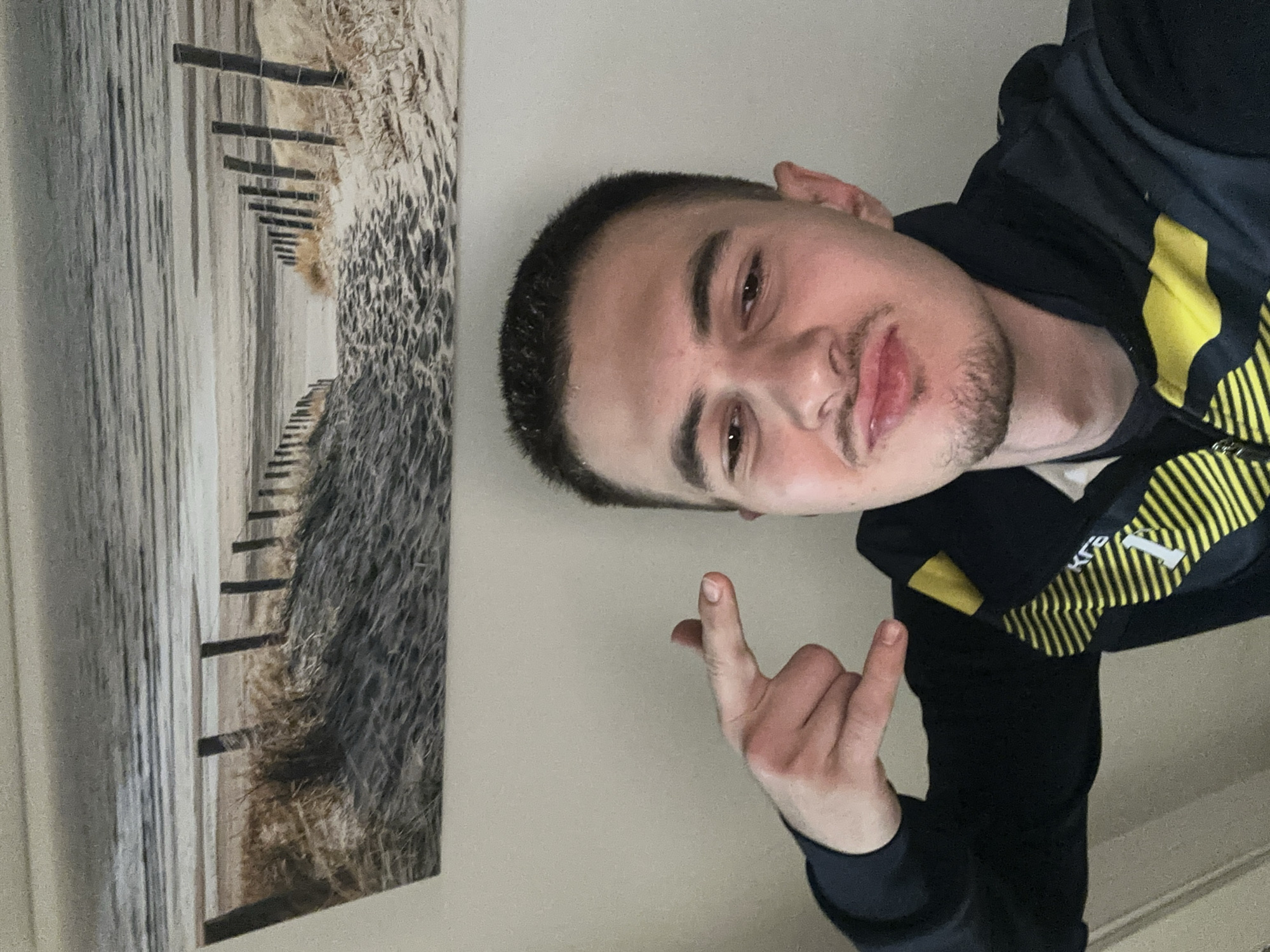 A young man poses indoors with a beach scene painting in the background. The man has short dark hair, fair skin, and a light beard. He wears a black jacket with yellow stripes and white lettering ("KF6" or similar). His hand gesture is the "hang loose" sign. The painting depicts a beach scene with weathered wooden posts along the shoreline. The wall is light beige. The location is not discernible as Sofia, Bulgaria.
