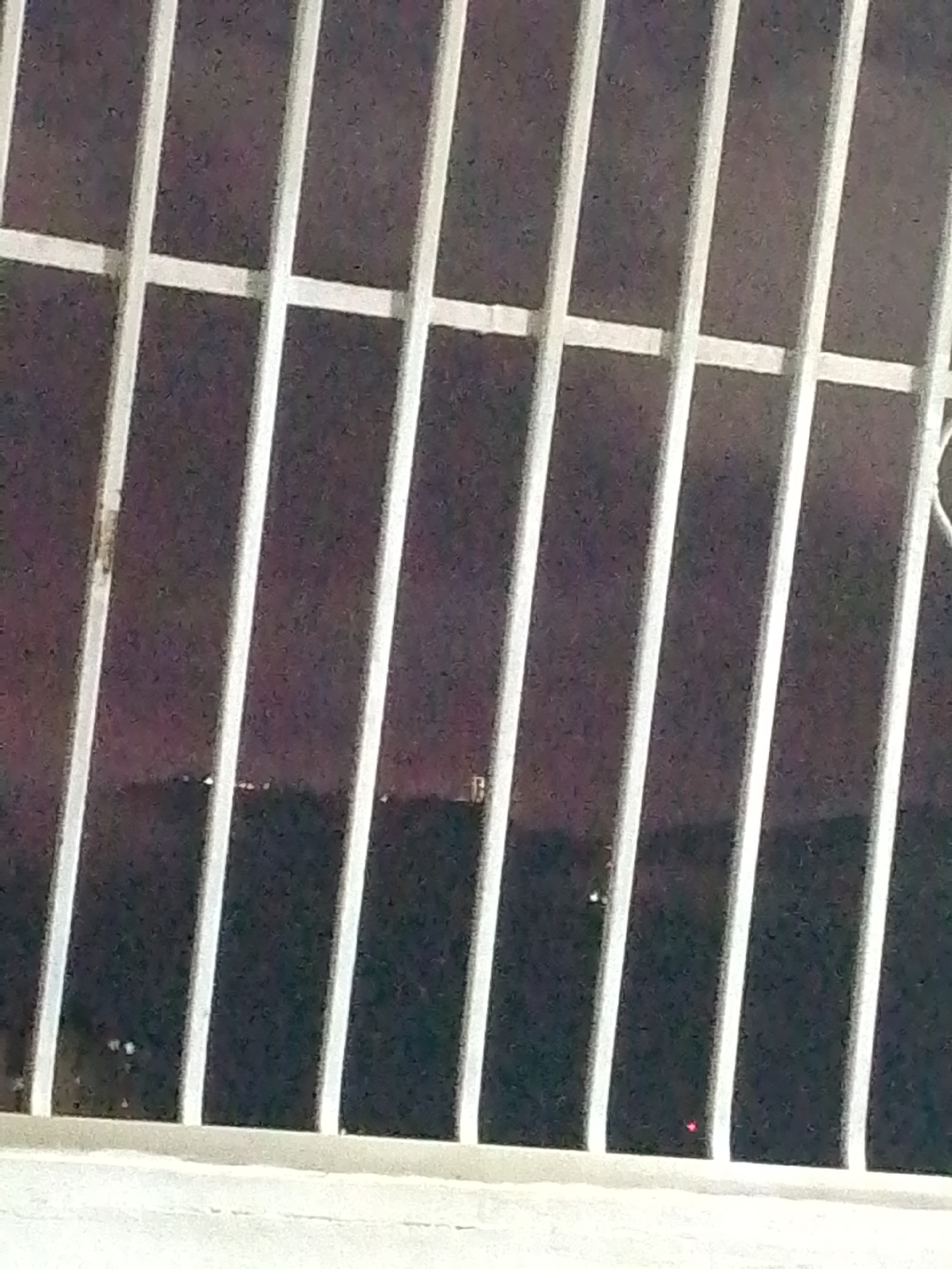 The image shows a close-up view through a white metal security grill. The scene outside the grill is dark, possibly indicating nighttime. A faint glow is visible in the distance, suggesting some light source, perhaps from the city lights of Caracas. The image is taken from an interior perspective, looking outwards through the barrier. There are no people visible, but the presence of the security grill implies security concerns in the area.