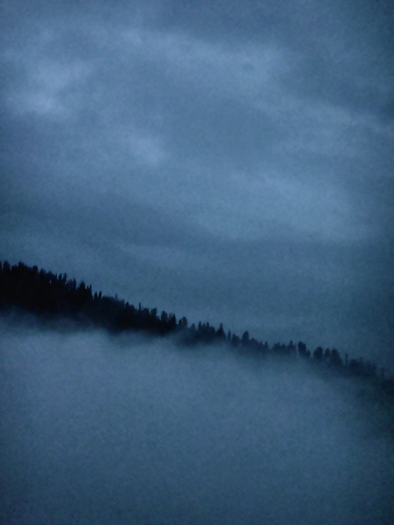 A silhouette of a dense forest on a sloping hillside is visible against a hazy, overcast sky. The trees are dark and appear as a jagged line across the lower portion of the image. A thick layer of fog or mist blankets the ground at the base of the hill and extends upwards, obscuring the lower parts of the trees and softening the overall scene. The sky is a uniform, muted blue-grey, with faint lighter patches suggesting diffuse light. The image has a moody and atmospheric quality, typical of a misty mountain landscape. The specific location in Vashisht, India is not discernible from the visual content of the image itself.