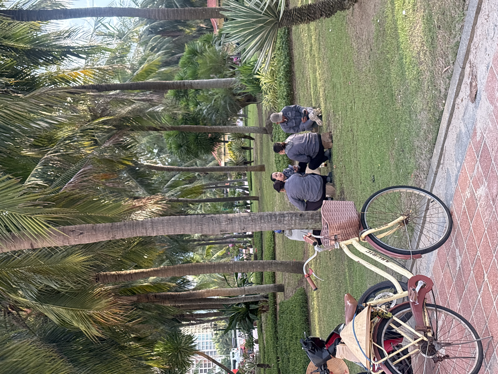 The image depicts a group of four individuals gathered on a grassy area in a park-like setting, likely in Đà Nẵng, Vietnam, given the presence of palm trees and a tropical atmosphere. The individuals are seated on the ground, appearing to be engaged in conversation. One person is smoking a cigarette. In the foreground, a bicycle with a woven basket is parked on a tiled pathway, and a portion of a scooter is visible to its left. The background features a dense arrangement of palm trees, with some buildings and distant traffic visible through the foliage. The overall scene suggests a casual outdoor gathering in a city environment characterized by its tropical flora.