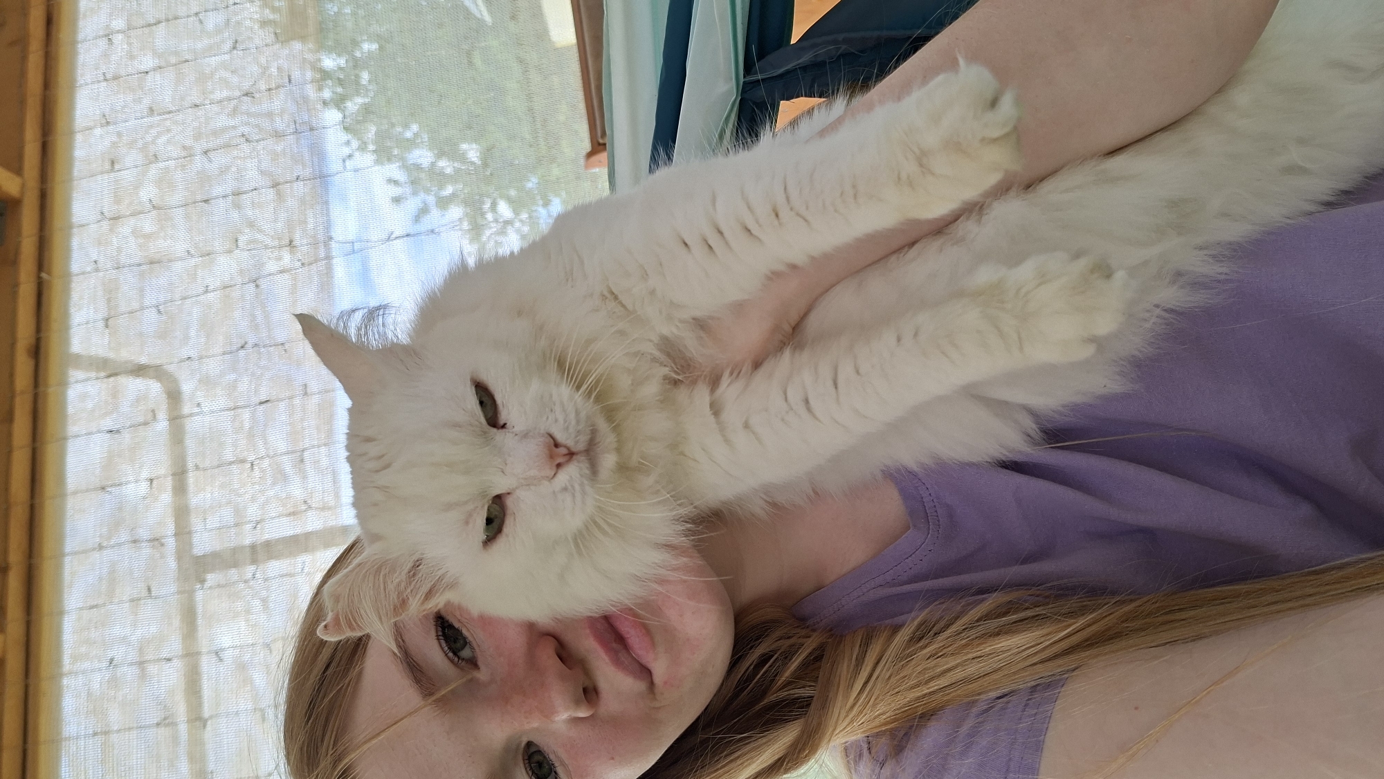 The media file shows a person holding a white fluffy cat. The cat is lying on the person's arm and chest, with its head resting near the person's face. The person has blonde hair and is wearing a purple t-shirt. The cat has green eyes and a pink nose. The background appears to be outdoors, with a lattice-like structure and some greenery visible through it, suggesting it might be a porch or balcony. The lighting suggests it is daytime. The overall mood appears relaxed and affectionate, with the person and cat seemingly comfortable with each other. There is no visible text in the image. The location context provided is Большой Букор, Russia.