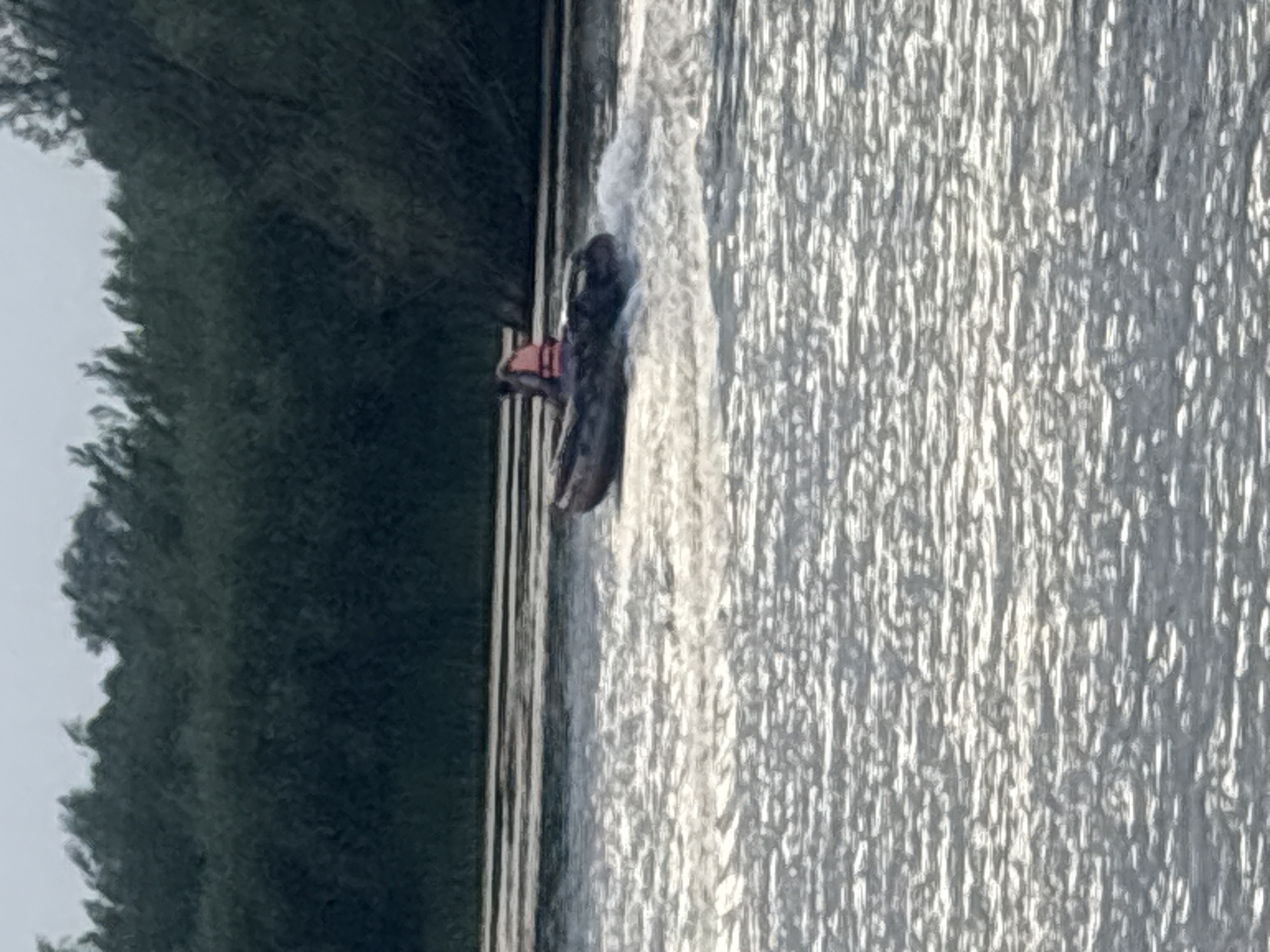 The image shows a boat with two people in it, moving across a body of water. The water is choppy and appears to be reflecting the sunlight. In the background, there is a dense line of trees. The overall scene suggests a recreational activity on the water, possibly in a natural or semi-natural environment. Without specific landmarks or identifying features, it is not possible to determine the exact location within Pavlodar, Kazakhstan.