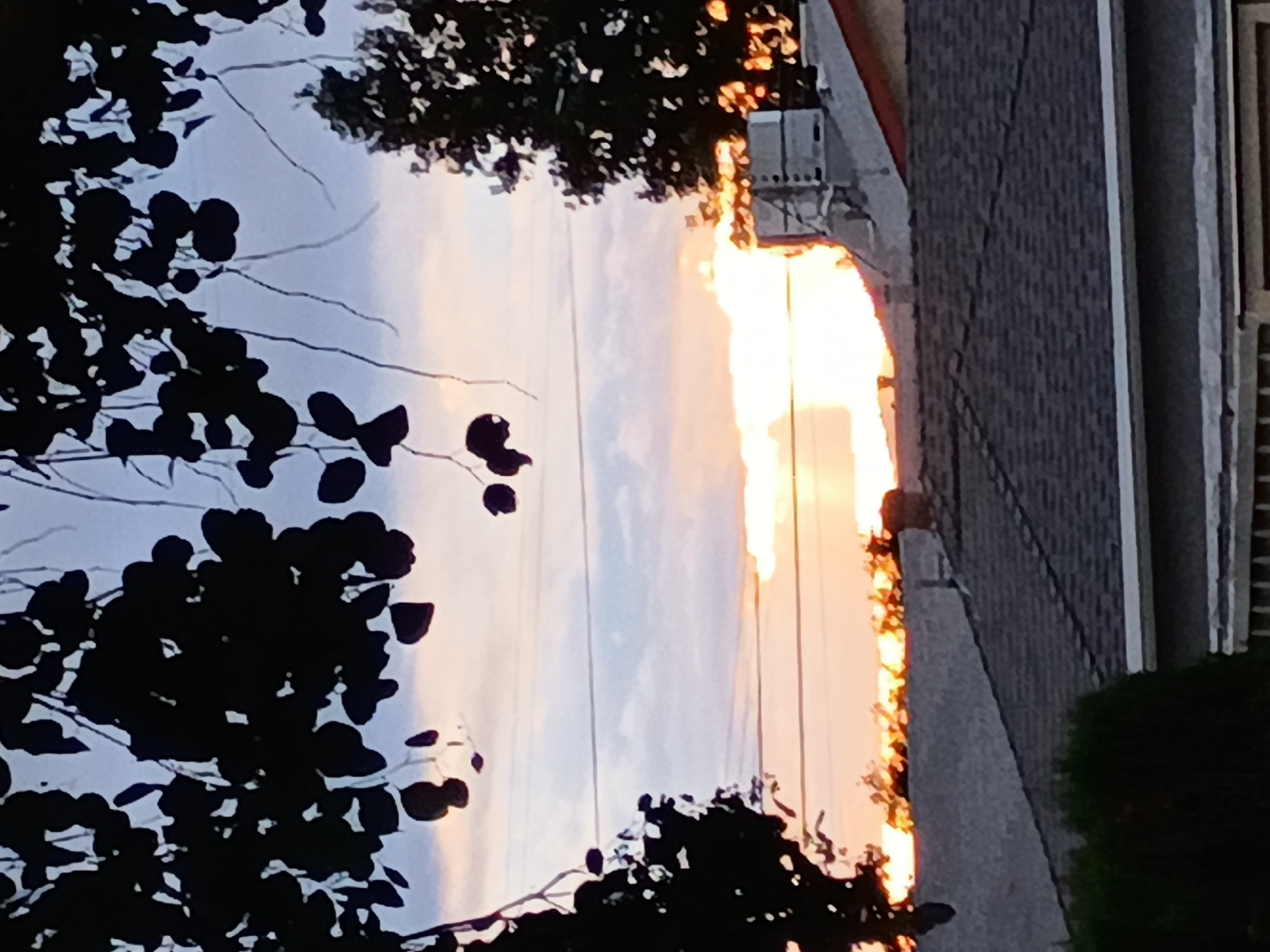 The image shows a sunset in an urban environment, likely Los Angeles based on the request. In the foreground, there are silhouetted tree branches and leaves. The center of the image showcases a gap between buildings, revealing a vibrant sunset with orange, yellow, and pale blue hues. On the right side of the image, a building with a dark shingled roof and vertical siding is visible. Utility poles or lines run across the sky between the trees and buildings. The photograph is taken in a residential area.