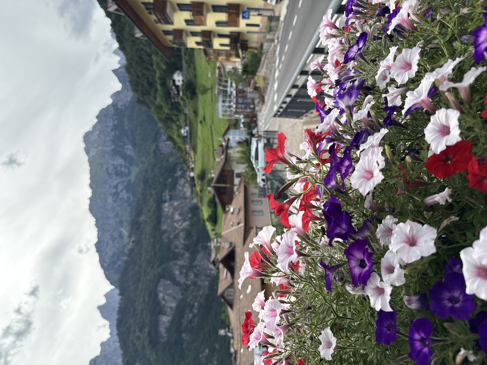In Molveno, Italy, a close-up shot of vibrant petunias in the foreground, featuring a mix of red, pink, white, and purple blooms, is framed by a scenic view of the town and mountains. The petunias are densely packed, with some flowers in sharp focus and others slightly blurred. Behind the flowers, traditional alpine-style buildings with red-tiled roofs and balconies are visible, nestled on a green, hilly landscape. A road curves through the town, with a few cars parked along the side. In the distance, majestic, jagged mountains rise under a cloudy sky, their peaks sharply defined. The overall scene captures a picturesque view of a charming Italian mountain town enhanced by colorful floral arrangements.