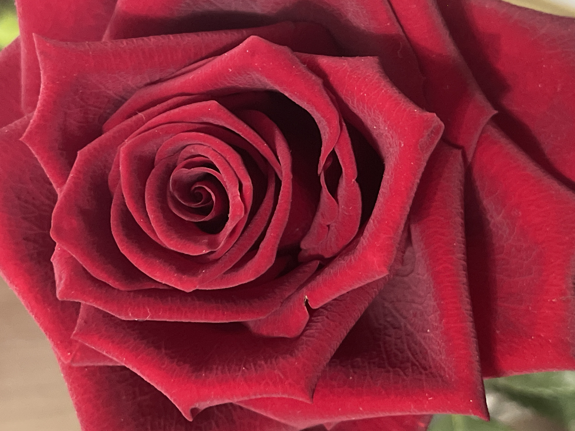 This is a close-up, overhead shot of a deep red rose. The petals are velvety and tightly furled in the center, creating a spiral pattern. The outer petals are broader and unfurled, revealing their textured surface. The lighting highlights the rich color of the rose and casts subtle shadows, adding depth to the petals. There are a few tiny specks, possibly dust or pollen, visible on the surface of the petals. The background is blurred and out of focus, with hints of soft brown and green. The image captures the intricate beauty and delicate texture of the rose. This image was taken in an unknown location in an unknown city.
