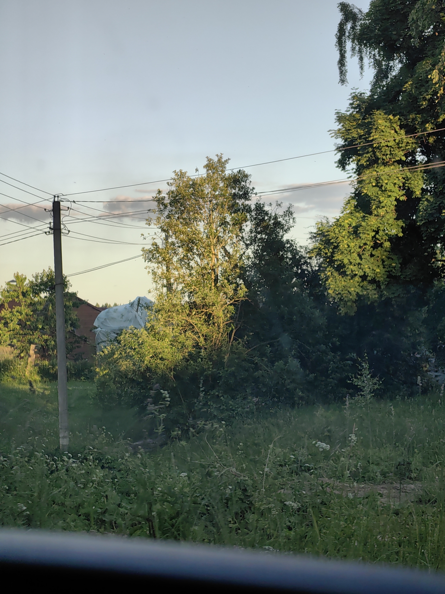 A rural scene is depicted with a telephone pole on the left, supporting multiple wires that stretch across the frame. Beyond the pole, a house with a dark roof is visible, partially covered by a large white tarp. Lush green vegetation, including trees and grass, dominates the foreground and middle ground. The sky above is a pale blue with scattered clouds, suggesting it is daytime. The image appears to have been taken from a vehicle, as indicated by a dark, blurred area at the bottom of the frame. The location is identified as Дзямідавіцкі сельскі Савет, Belarus.