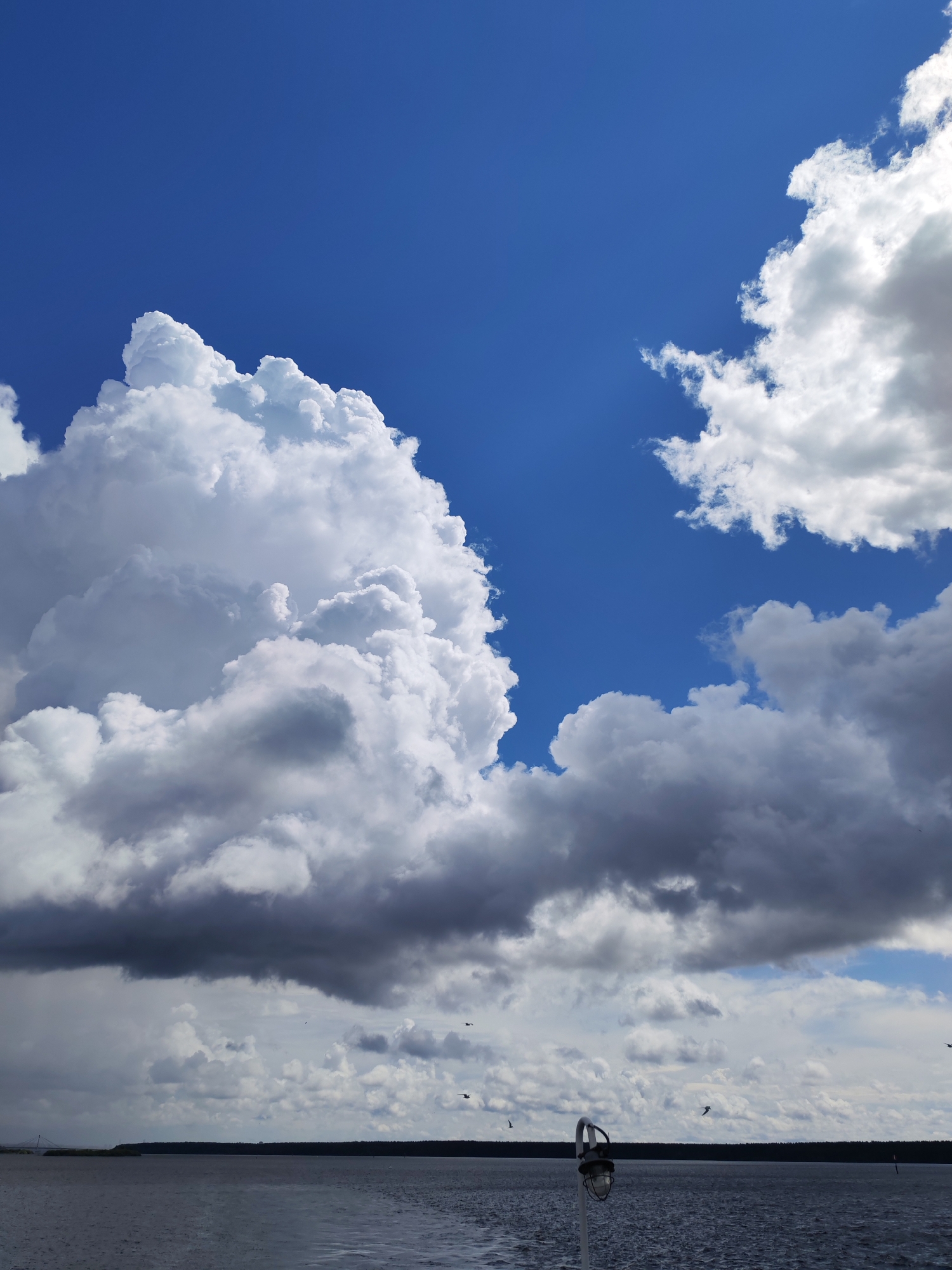The image depicts a vast expanse of sky filled with dramatic clouds, ranging from bright white cumulus formations to darker, heavier storm clouds. The lower portion of the image shows a dark, calm body of water, likely a lake or river, with a distant treeline on the horizon. Several birds are visible in flight against the cloudy sky. In the foreground, a white pole with a light fixture is partially visible. The scene appears to be a natural landscape, possibly a waterfront area. The sky suggests dynamic weather conditions, with bright sunlight breaking through in some areas while other parts are overcast. This image was captured on the Rybinsk Reservoir, near Cherepovets, Russia, during a period of changing weather.