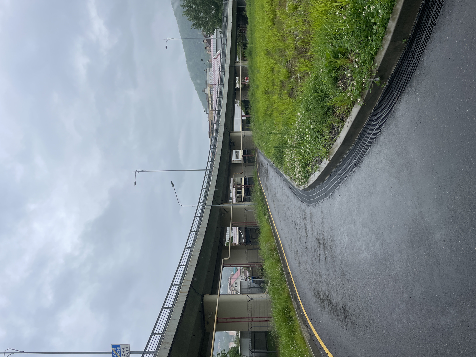 The image depicts an urban scene in Sochi, Russia, characterized by an elevated roadway or bridge. The sky is overcast with heavy cloud cover. A mountain is faintly visible in the background behind the bridge. The road surface is dark and appears wet, possibly due to recent rain. There's a yellow line marking the edge of the road. Along the roadside, there's a section of vegetation consisting of grass and small white flowers. A drainage grate runs along the edge of the vegetation. The elevated roadway is supported by concrete pillars and has street lamps mounted on the side. The image does not contain any visible people, subjects, actions or interactions.