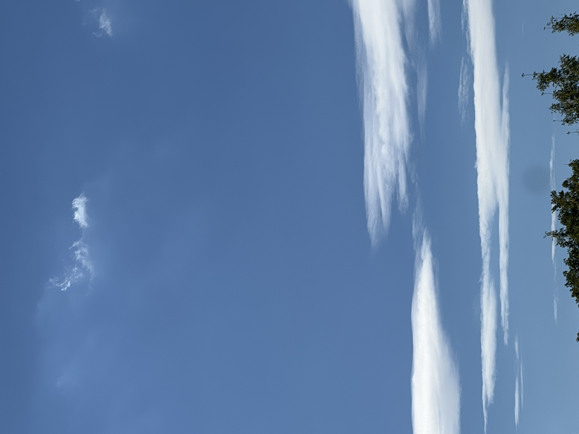 The image shows a clear blue sky with scattered white clouds. There are also some trees visible at the bottom of the image, suggesting an outdoor setting. The scene appears calm and peaceful. There is no information in the image to suggest the location is Warsaw, Poland.