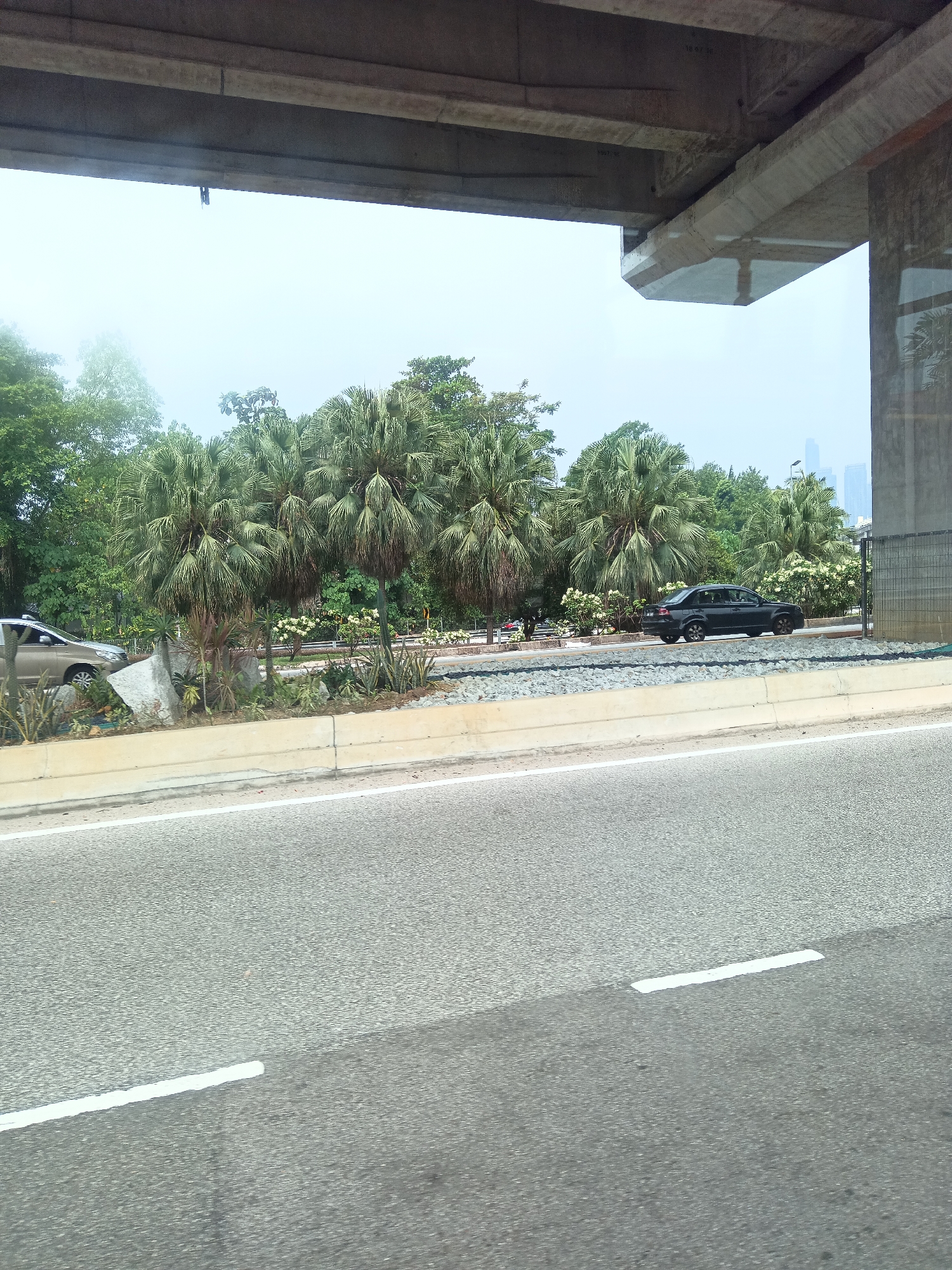 The image shows a view from a moving vehicle, looking out towards a street lined with palm trees and lush vegetation. The scene is under an elevated structure, likely a highway or bridge, with concrete pillars and beams visible in the foreground. Two cars are present: a silver SUV on the left and a dark sedan on the right. The ground is a mixture of asphalt road with white lane markings, gravel, and landscaping. In the distance, tall buildings can be seen against a hazy sky, suggesting an urban environment within Kuala Lumpur, Malaysia. The overall atmosphere is overcast, possibly indicating a cloudy or rainy day.