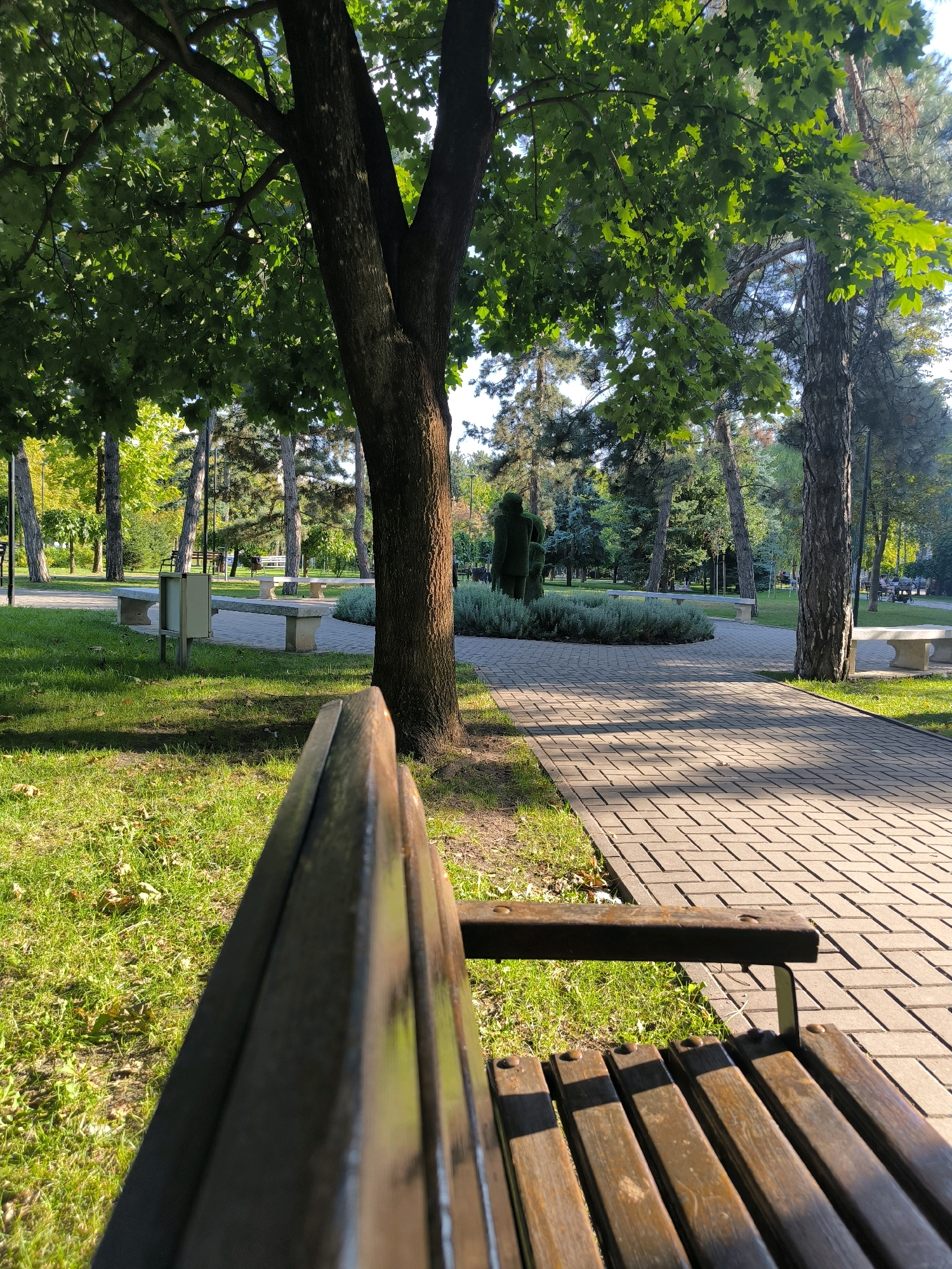 This image depicts a park pathway in Chisinau, Moldova, bathed in the dappled sunlight of late afternoon. The foreground is dominated by a wooden park bench, its weathered planks suggesting regular use. To the right, a paved walkway made of interlocking bricks curves gently through the park, casting long shadows from the surrounding trees. The pathway leads towards a central area featuring a manicured green hedge and a topiary sculpture of two figures.
Beyond the pathway, the park unfolds with lush green grass and scattered trees with full canopies. Several stone benches are visible along the path, inviting visitors to rest. In the mid-ground, a trash receptacle stands near a path junction. The backdrop is a dense collection of trees, including evergreens and deciduous varieties, with some yellowing leaves indicating the approaching autumn. The overall atmosphere is tranquil and serene, suggesting a well-maintained public space enjoyed by the community.