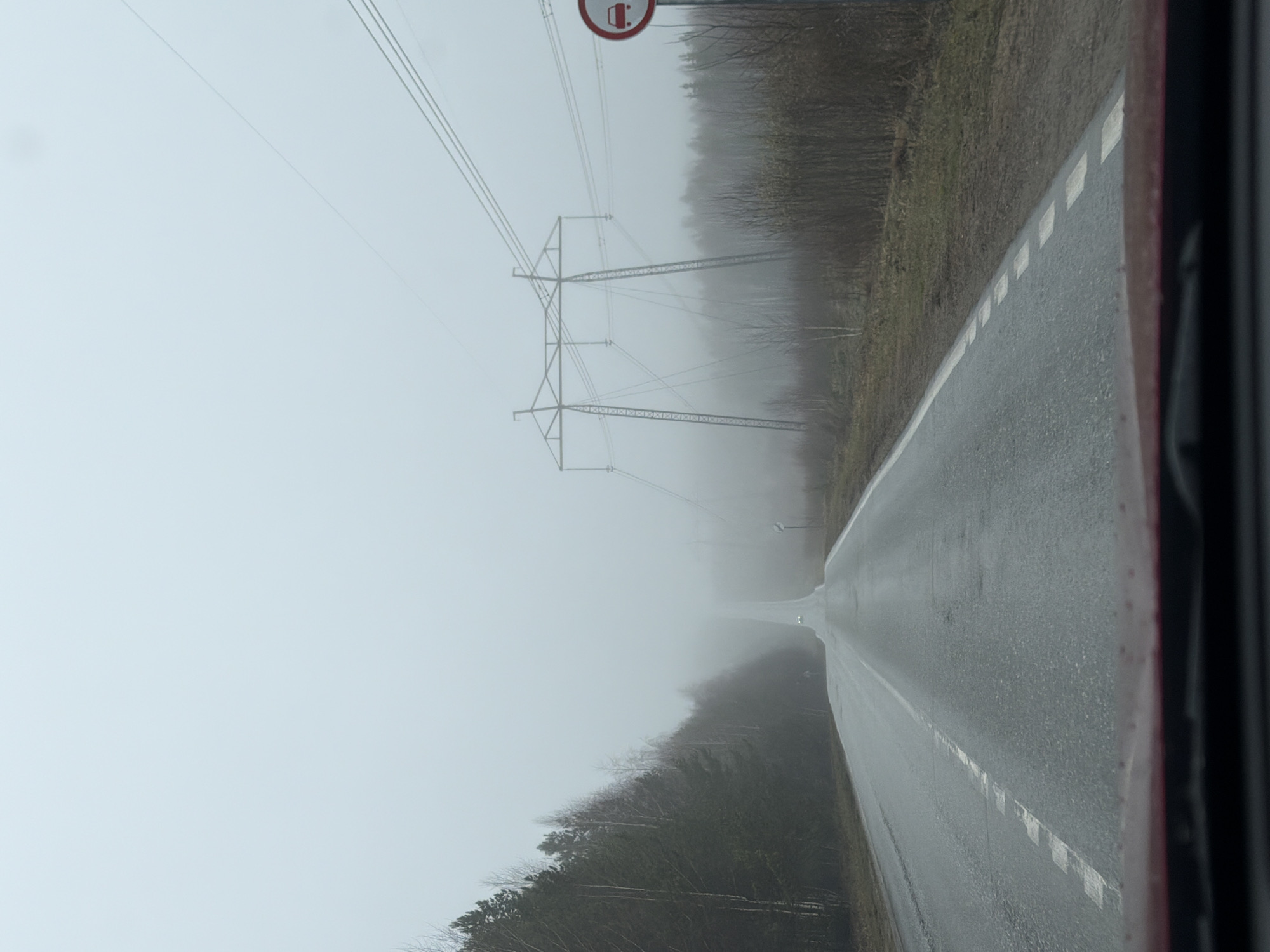 A photograph taken from within a vehicle shows a road curving into a dense fog. The road is asphalt, wet, and marked with a white dashed line on its right edge. On either side of the road, there are heavily wooded areas with trees that appear bare, suggesting it may be late fall or winter. Overhead, there is a high-voltage power line structure bisecting the road. There is a road sign visible near the power lines on the side of the road. The overall atmosphere is overcast, with limited visibility due to the fog.
There is no information to suggest that this photograph has anything to do with Dubovaya, Russia.