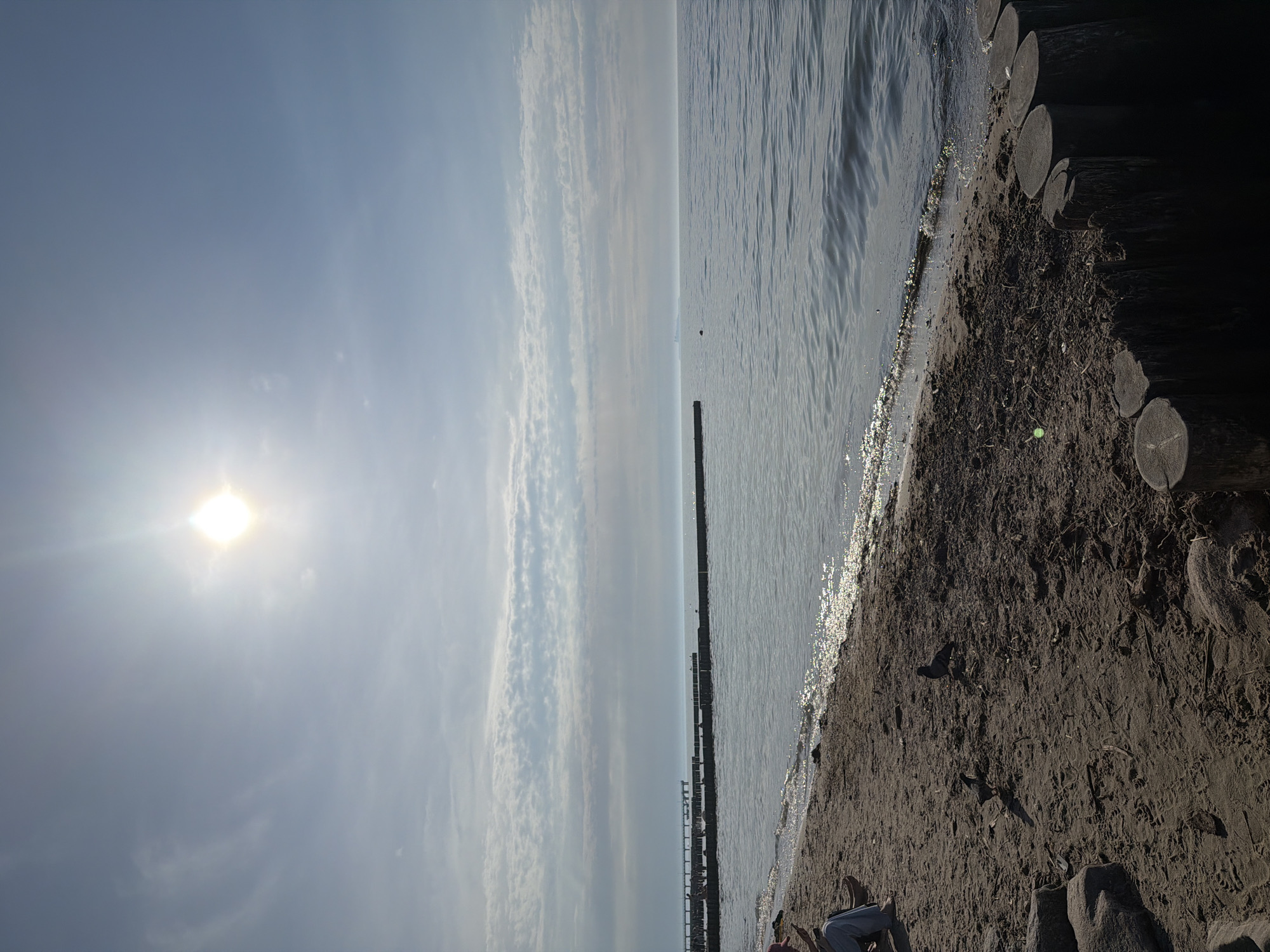 The image depicts a sunny day at a beach in Zelenogradsk, Russia. The sky is bright blue with scattered wispy clouds, and the sun is high in the sky, casting a bright glare. The sea is calm with small waves lapping at the shore. Along the coastline, there are rows of wooden breakwaters extending into the water, with a long pier visible in the distance. The beach is sandy, with some scattered debris and rocks. In the foreground, a person is sitting on the sand, and two pigeons are pecking at the ground. The overall scene is one of a peaceful day at the seaside.
