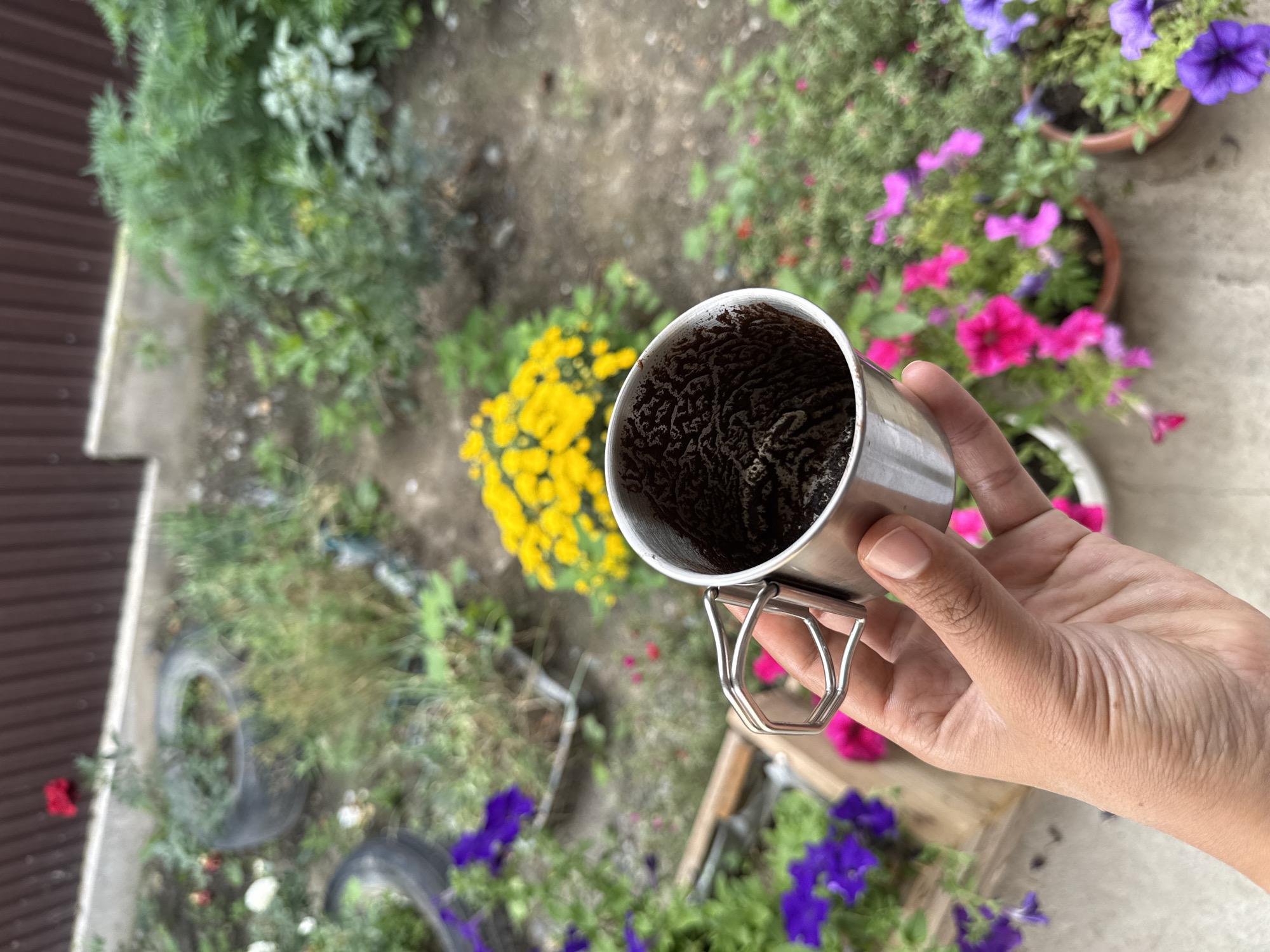 A close-up, eye-level shot shows a person's hand holding a metal mug containing dark, granular material, possibly coffee grounds. The mug has a foldable metal handle. The background is blurred, revealing a garden setting with various plants and flowers in shades of purple, pink, and yellow. A brown fence is visible in the upper portion of the image. The lighting suggests an outdoor, possibly overcast day. The image appears to be taken in Boru-Bash, Kyrgyzstan, given the context provided.