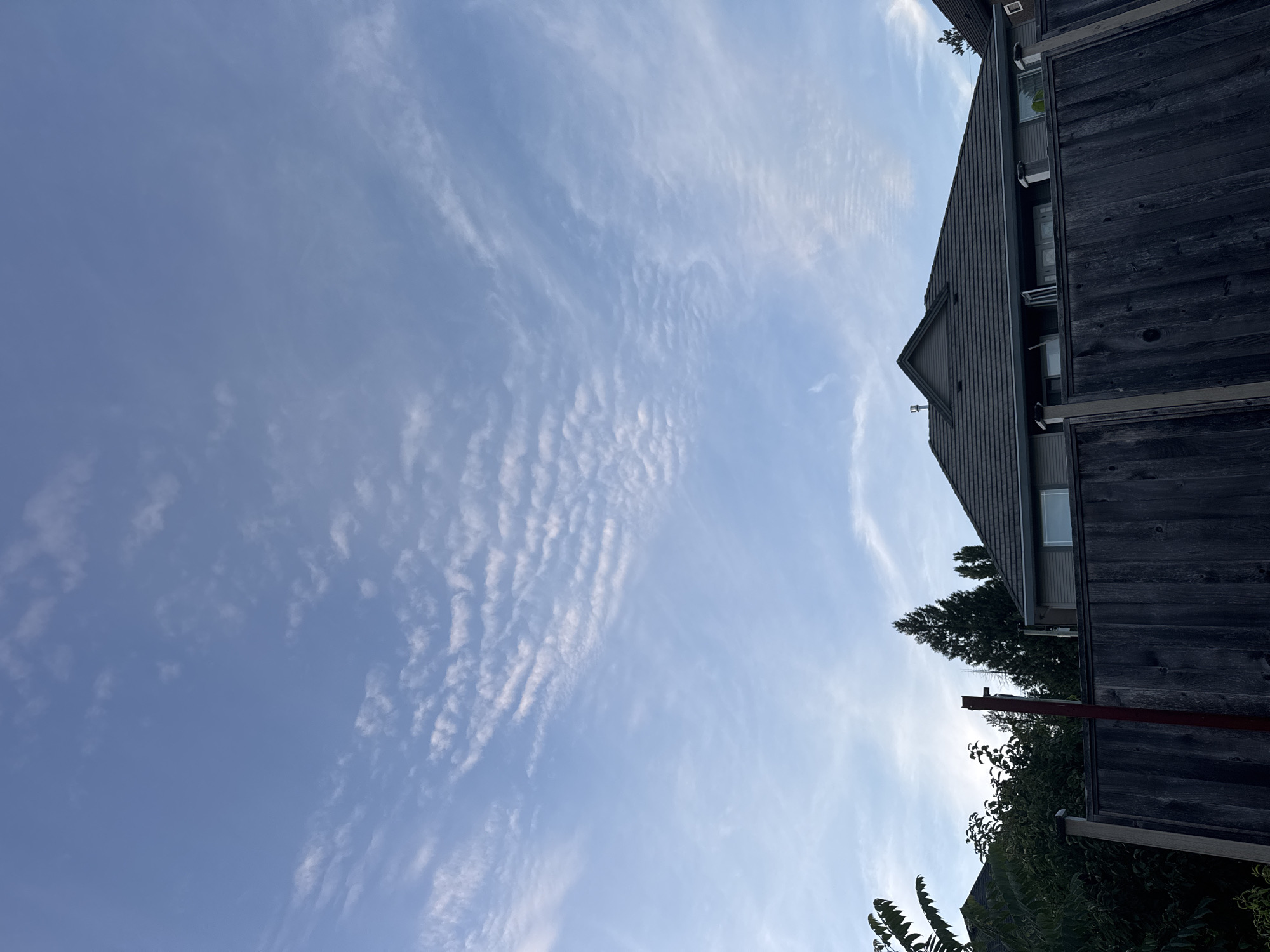The image shows a residential backyard in Coquitlam, Canada, under a partially cloudy blue sky. The foreground is dominated by a weathered wooden fence. Behind the fence, the roofline of a grey house with a dark grey shingled roof is visible. Several evergreen trees are scattered throughout the scene, with some foliage visible to the left. The sky is filled with thin, wispy clouds that form wave-like patterns. The lighting suggests it is either early morning or late afternoon. There are no people visible in the image.