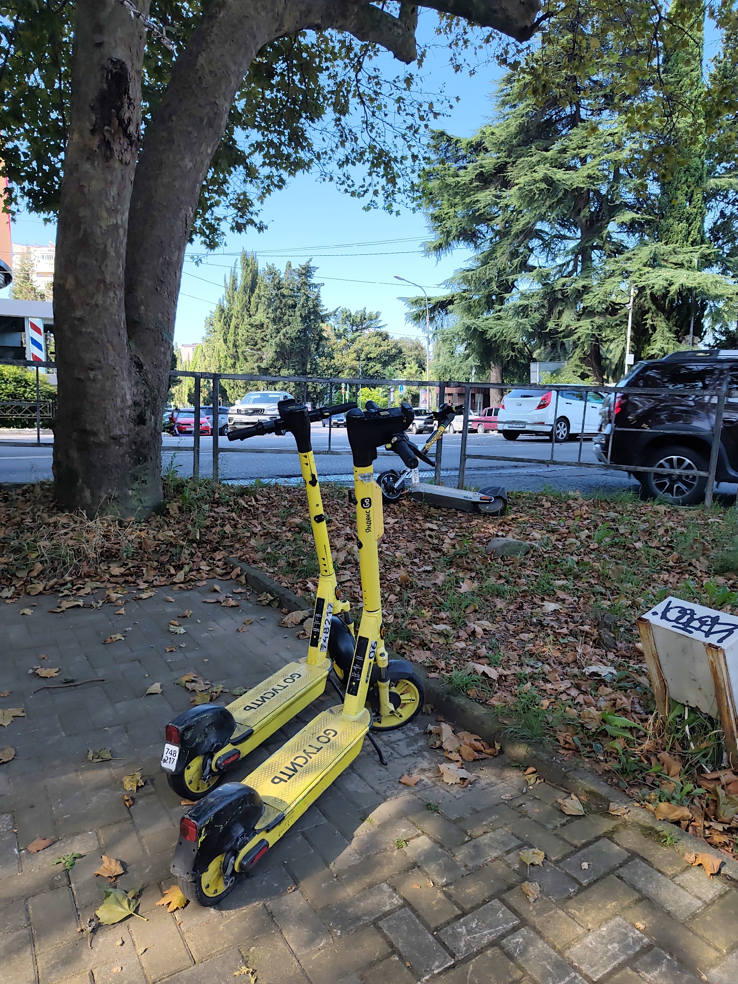 The image depicts an outdoor scene in Sochi, Russia, likely on a sidewalk adjacent to a road. Two bright yellow electric scooters, branded with "Яндекс GO," are parked on a paved area covered with fallen autumn leaves. One scooter is upright, while the other is lying on its side. In the background, a variety of vehicles are visible on the road, including a white car and a dark SUV. Trees with lush green foliage line the area, suggesting a pleasant climate. The sky is clear and blue, indicating a sunny day. A metal fence separates the sidewalk from the road. The overall impression is one of an urban environment in a city known for its subtropical climate.
