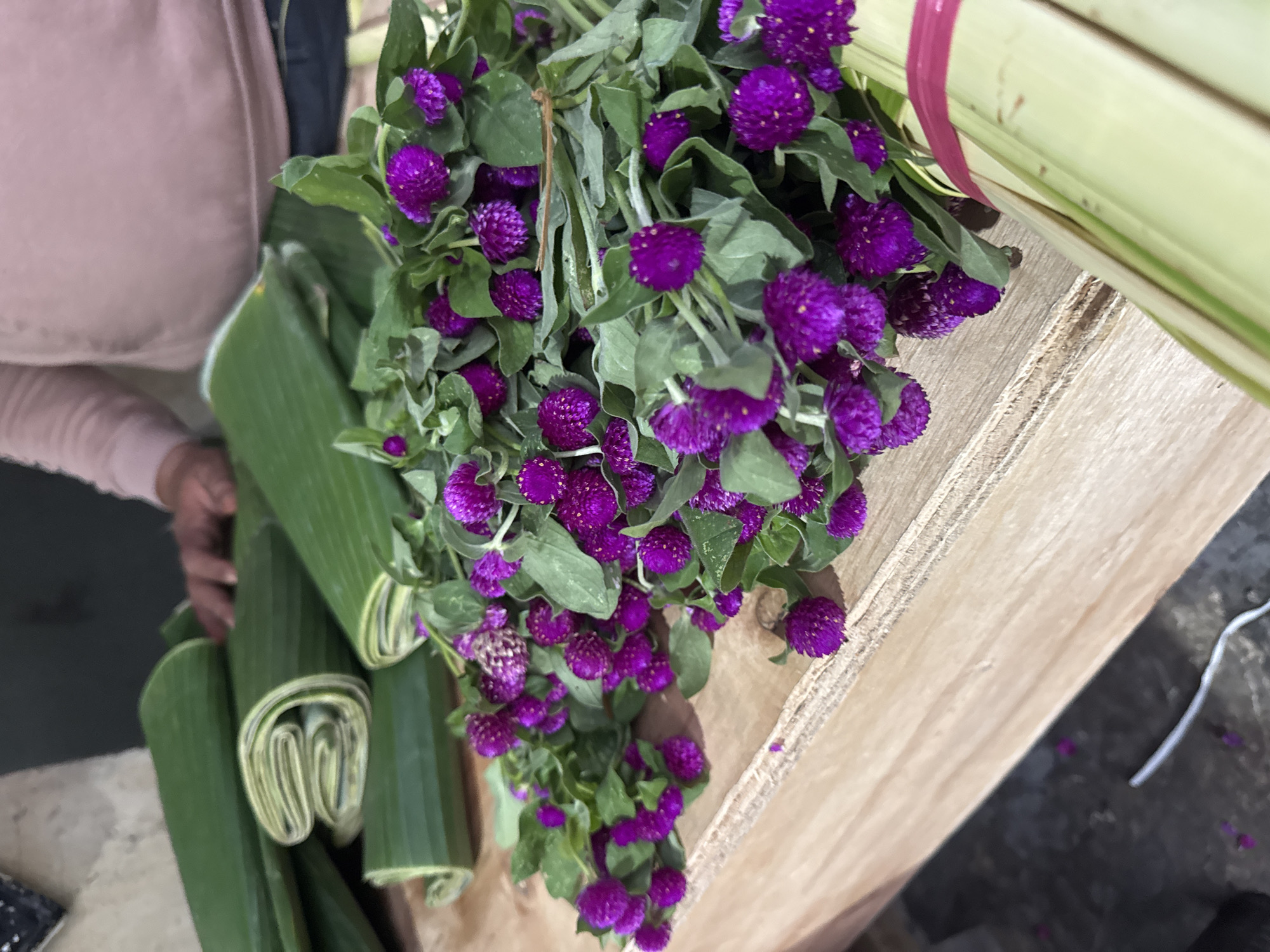 At a market stall in Kuta, Indonesia, a vendor wearing a pink shirt and dark pants is preparing to wrap flowers. Bunches of vibrant purple globe amaranth flowers are arranged on a wooden table. Beside them, neatly rolled green banana leaves are stacked, ready to be used as wrapping. The scene captures a moment of preparation for sales, with a focus on the natural beauty of the flowers and the practical use of the banana leaves.