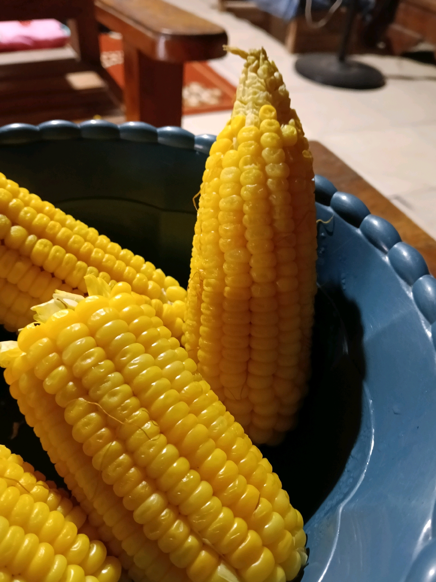 In Galuk, Indonesia, a close-up shot focuses on several ears of cooked corn resting in a blue bowl. The corn, with its bright yellow kernels arranged in neat rows, appears moist and succulent. One ear stands upright in the center of the bowl, its top slightly lighter in color, suggesting it might be the cob end. Two other ears are partially visible, lying diagonally across the bowl. The blue bowl has a textured rim, with rounded indentations. The background is softly blurred, showing glimpses of wooden furniture and a patterned rug, indicative of an indoor setting. The lighting appears warm and natural, highlighting the textures of the corn.