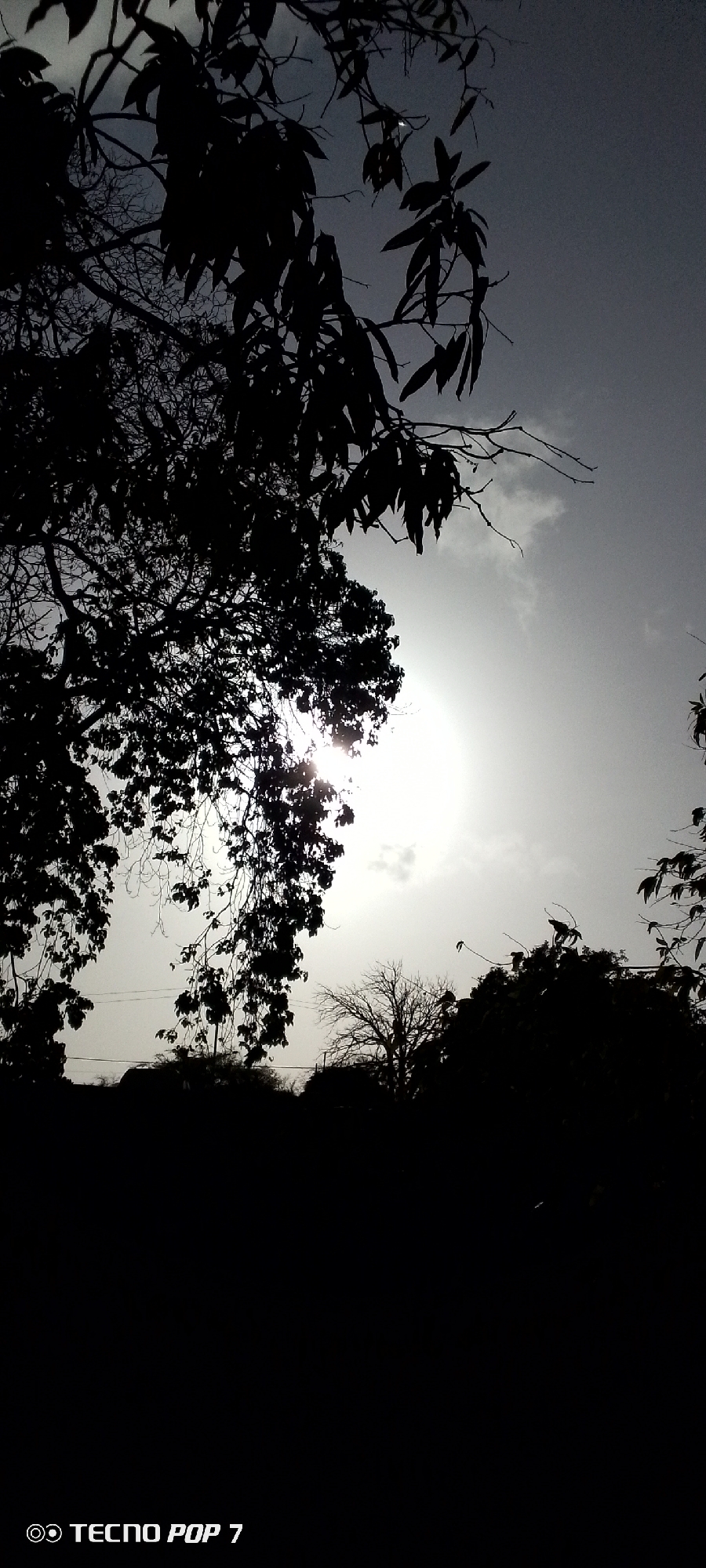 The image shows a daytime scene in Altagracia, Venezuela, taken from a low angle. The sky is overcast with a bright sun obscured by thin clouds. Silhouetted trees dominate the foreground and middle ground. The branches and leaves of the trees are detailed against the bright sky. The bottom of the image is mostly dark, obscuring details on the ground. "Tecno Pop 7" is printed in the bottom left corner of the image, likely indicating the camera used to capture the photograph.