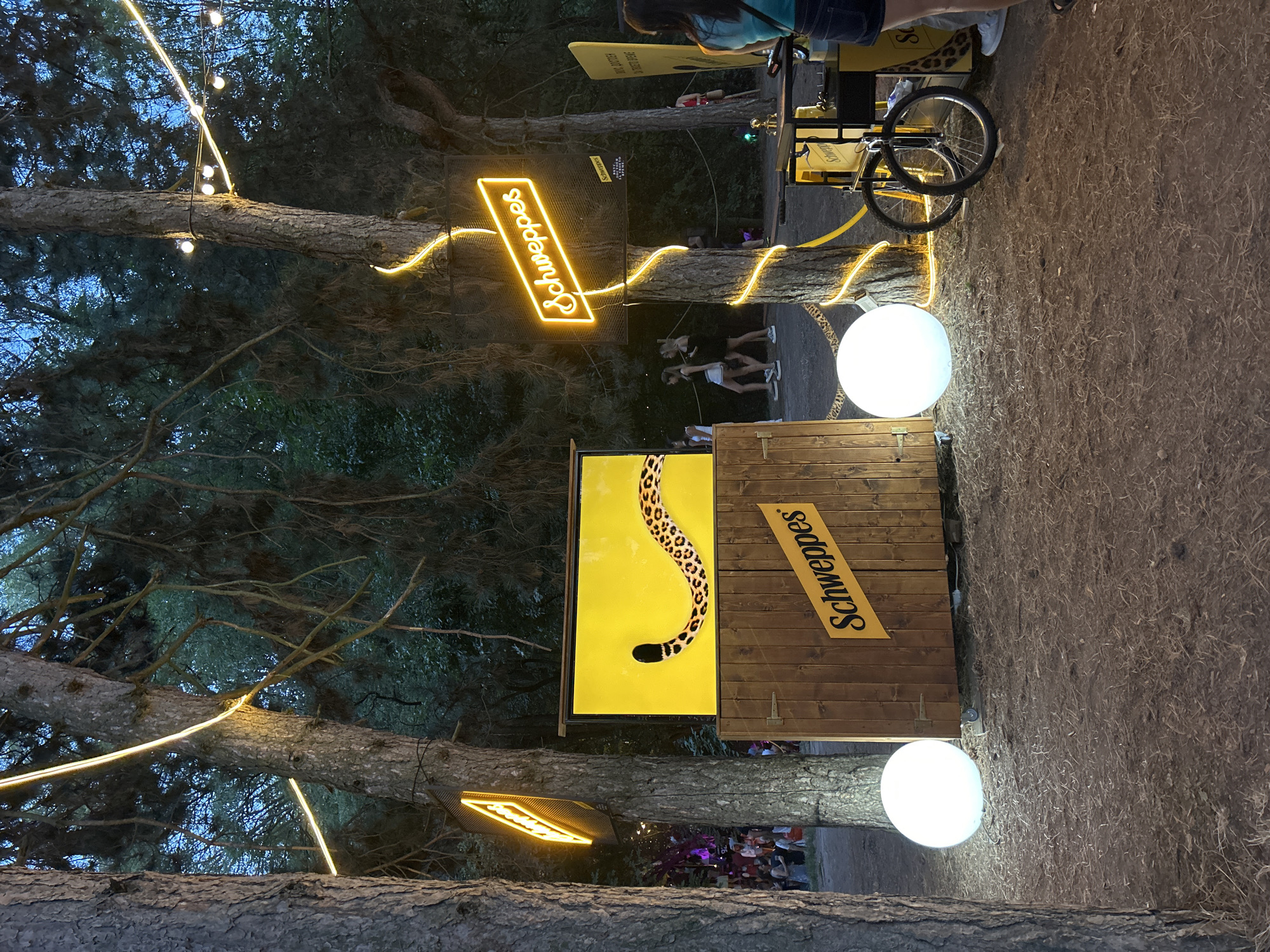 In an outdoor wooded setting, possibly a park or festival, two large pine trees frame a scene illuminated by a mixture of neon and string lights. A wooden structure with two doors stands in the center, featuring a bright yellow panel on top with a leopard print design and a black leopard tail. The Schweppes logo is prominently displayed on the front of the wooden structure in orange lettering on a yellow diagonal stripe, and also on a smaller sign above the structure. To the right of the wooden structure is a black cart with wheels, also displaying Schweppes branding, and a bicycle. Two large, illuminated white spheres are placed on the ground, one to the left and one to the right of the wooden structure. In the background, a crowd of people can be seen, some blurred due to motion, suggesting an event is taking place. Several individuals are visible in the mid-ground walking past the Schweppes display. The overall atmosphere is festive and illuminated, characteristic of an evening outdoor gathering.