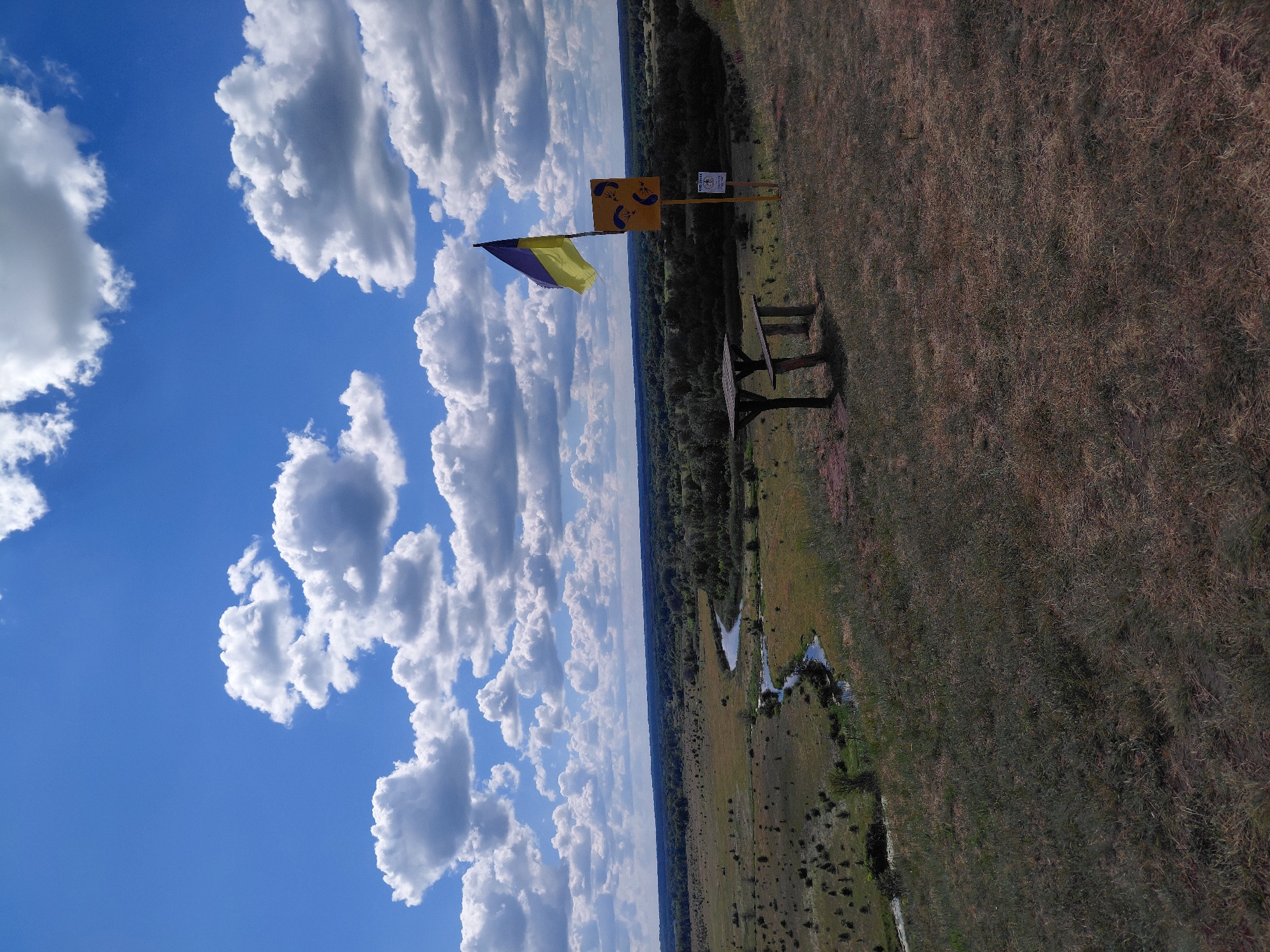 The image captures a scenic vista from a grassy hilltop in Ustyvytsia, Ukraine. In the foreground, a weathered wooden picnic table and bench sit on dry, brown grass. To the right of the table, a yellow signpost displays two blue parachute symbols and the Ukrainian flag waves in the wind. The landscape unfolds below, revealing a winding river snaking through a vast expanse of green fields dotted with scattered trees and dense woodland in the distance. The sky is a vibrant blue, adorned with fluffy white cumulus clouds.