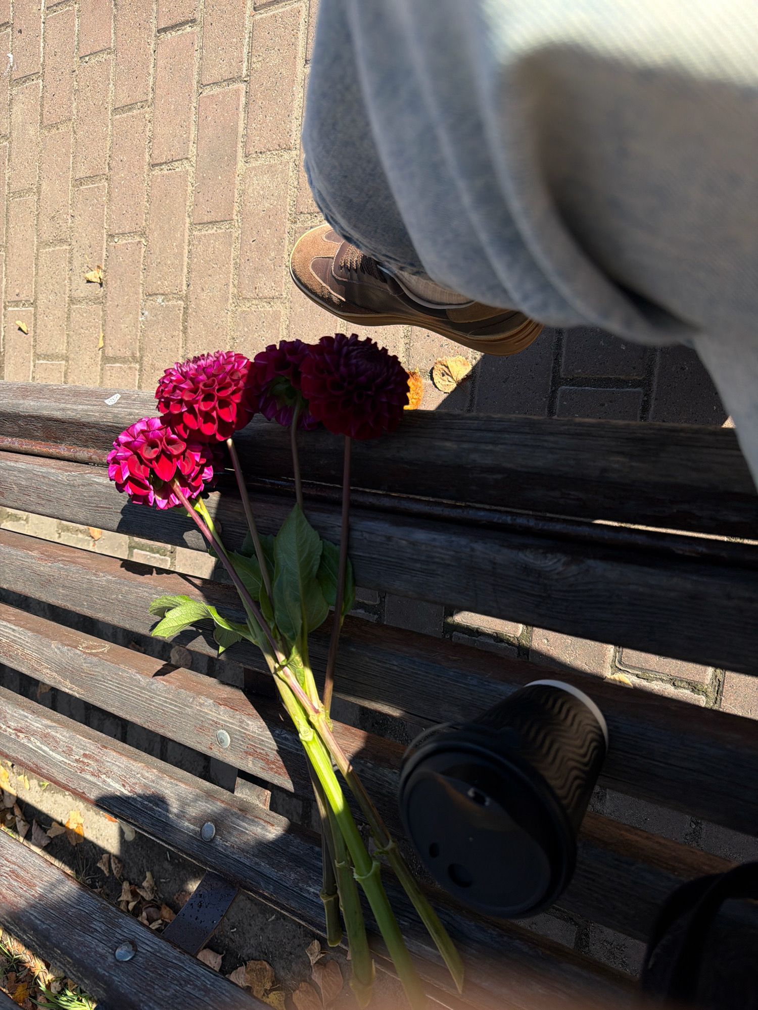 A high-angle, close-up shot captures a bouquet of three dark pink dahlias resting on a weathered wooden park bench, casting shadows on the patterned brick ground. A black paper coffee cup with a white rim sits to the right of the flowers. To the left, a person's leg, clad in light blue jeans and a brown shoe, is visible. The scene appears to be set in a public outdoor space, possibly a park, in the city of Chaikovsky, Russia, given the context. The lighting suggests it is daytime, with sunlight creating sharp contrasts and shadows. Fallen leaves are scattered on the ground beneath the bench, hinting at an autumn setting.
