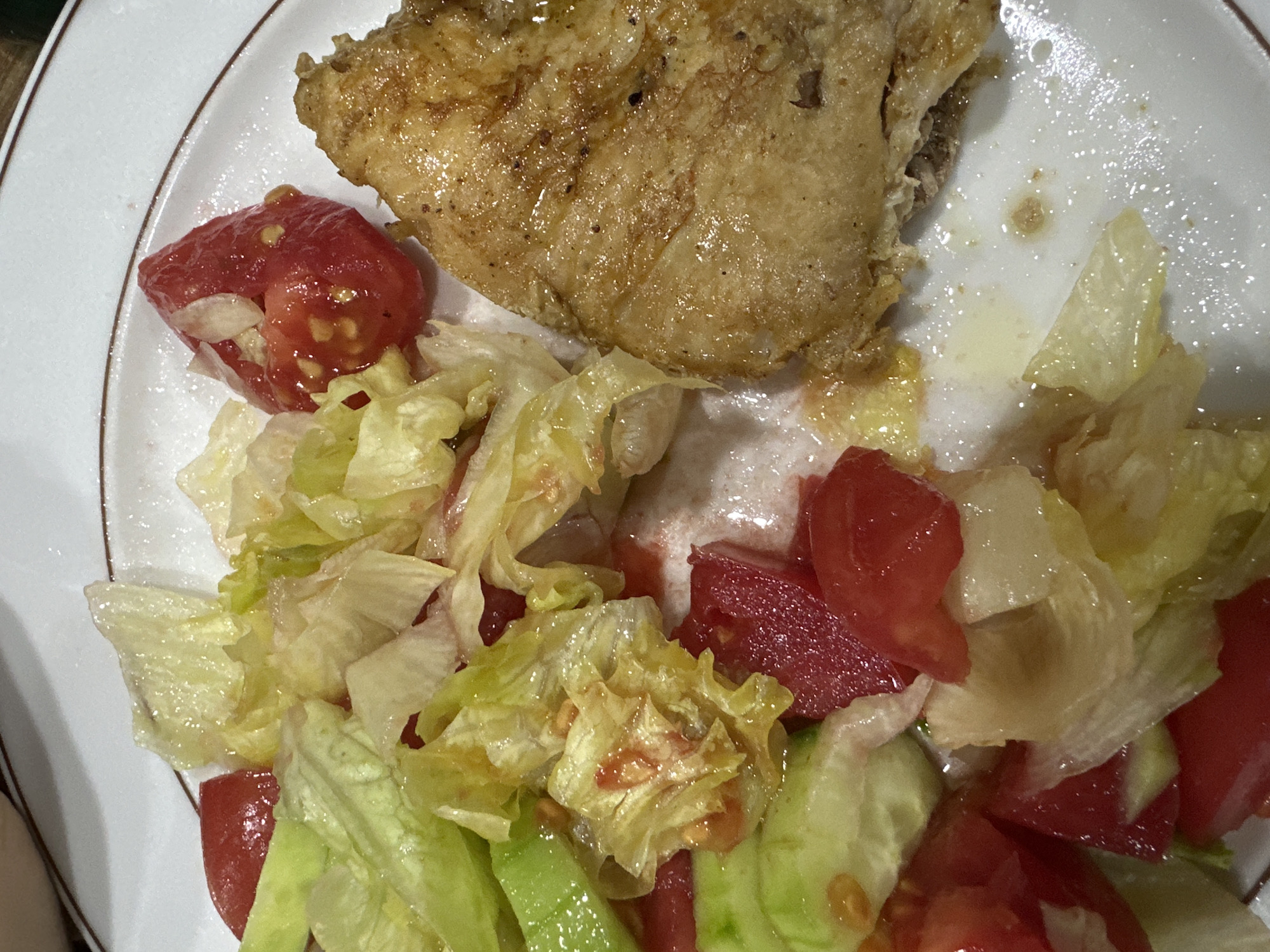 A white plate contains a piece of cooked chicken and a salad. The salad includes lettuce, cucumber, and tomato. The chicken is positioned on the upper right portion of the plate, with the salad occupying the lower and left side. The scene appears to be indoors, with the plate resting on an unseen surface. No people are visible. The location of the scene is unknown.