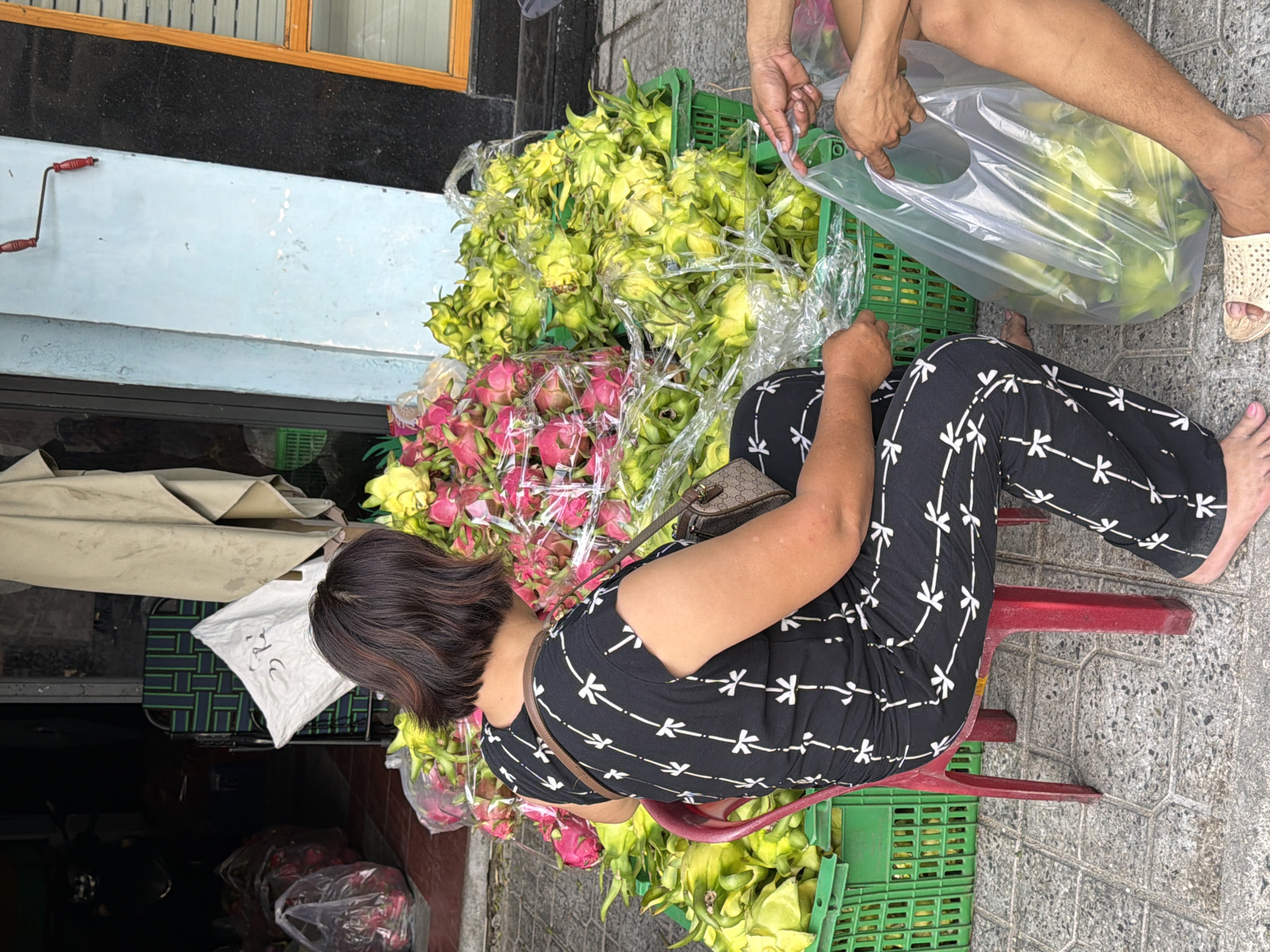 In Nha Trang, Vietnam, a woman wearing a black and white patterned outfit sits on a red plastic chair at a street-side market. She is looking towards a display of dragon fruits, with large green crates filled with the fruits stacked behind her. Some of the dragon fruits are pink and red, while others are yellow and green. Another person, only their hands and legs are visible, is holding a clear plastic bag filled with dragon fruits, seemingly about to put them into the bag or take them out. The ground is paved with gray tiles. In the background, there is a building with a light blue wall and black trim, and a wooden window frame. A white cloth is hanging from the building. Two large plastic bags, one containing red dragon fruits and the other containing pink dragon fruits, are visible in the left background, suggesting a larger marketplace.