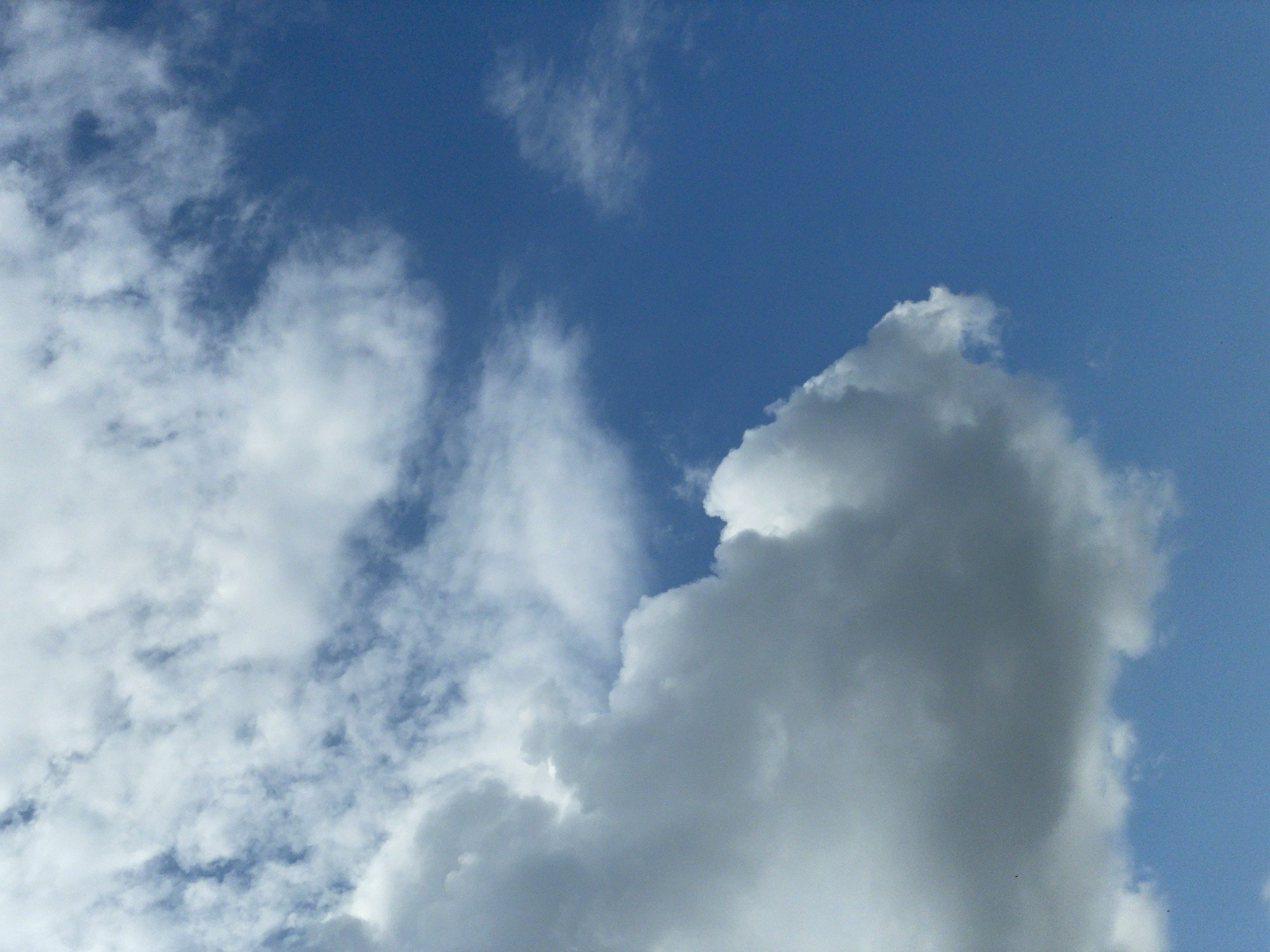 The image is an aerial view of the sky. It shows a clear blue sky with several white and grey clouds. Some of the clouds are fluffy and white, while others are darker and more ominous-looking. The clouds are spread across the entire frame of the image. The image does not contain any specific geographical markers or elements that would allow for identification of its location in Novosibirsk, Russia, or any other city.