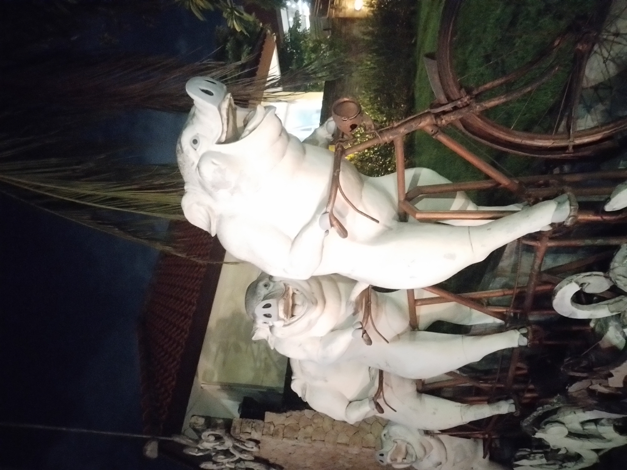 The image shows a whimsical sculpture in Denpasar, Indonesia, depicting a stack of white, stylized pigs mounted on a rusty, vintage-style bicycle. The pigs appear to be made of a solid material, possibly concrete or plaster. The top pig is oriented upwards with its mouth open, while the others appear similar, but with varying expressions. The bicycle is constructed from metal tubing with a large front wheel and smaller rear wheel. The backdrop includes elements of a building with a red tiled roof and outdoor foliage, illuminated by soft lighting. The scene appears to be at night.