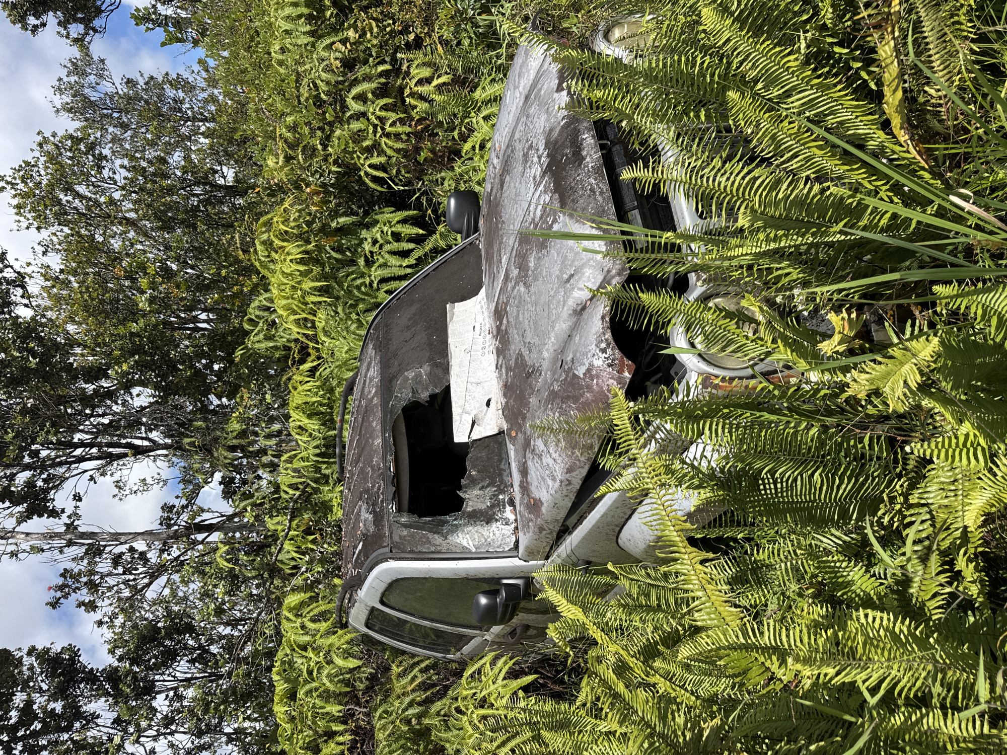 An abandoned, silver SUV is partially submerged in dense green ferns and foliage. The vehicle shows significant signs of decay, with a rusted hood and a shattered windshield. The surrounding environment appears to be a natural, overgrown area, possibly in Fern Forest, United States of America, with tall trees and a partly cloudy sky visible in the background. There are no people or animals visible in the image.