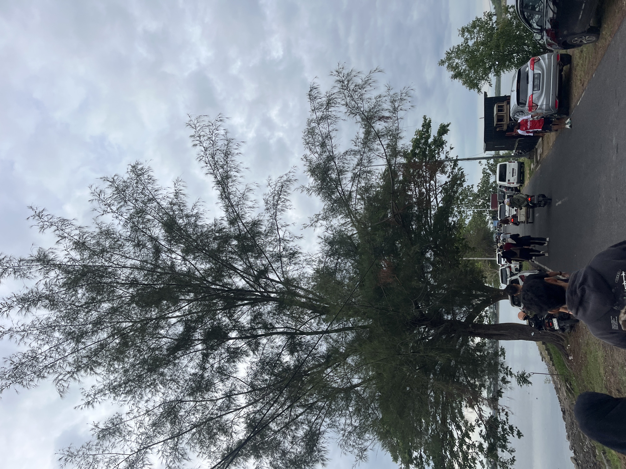 The image depicts a cloudy sky above a street scene in Lhokseumawe, Indonesia. A large tree dominates the foreground. The street is lined with parked vehicles, including cars and motorcycles. People are present on the street, standing and walking. In the distance, a body of water is visible.